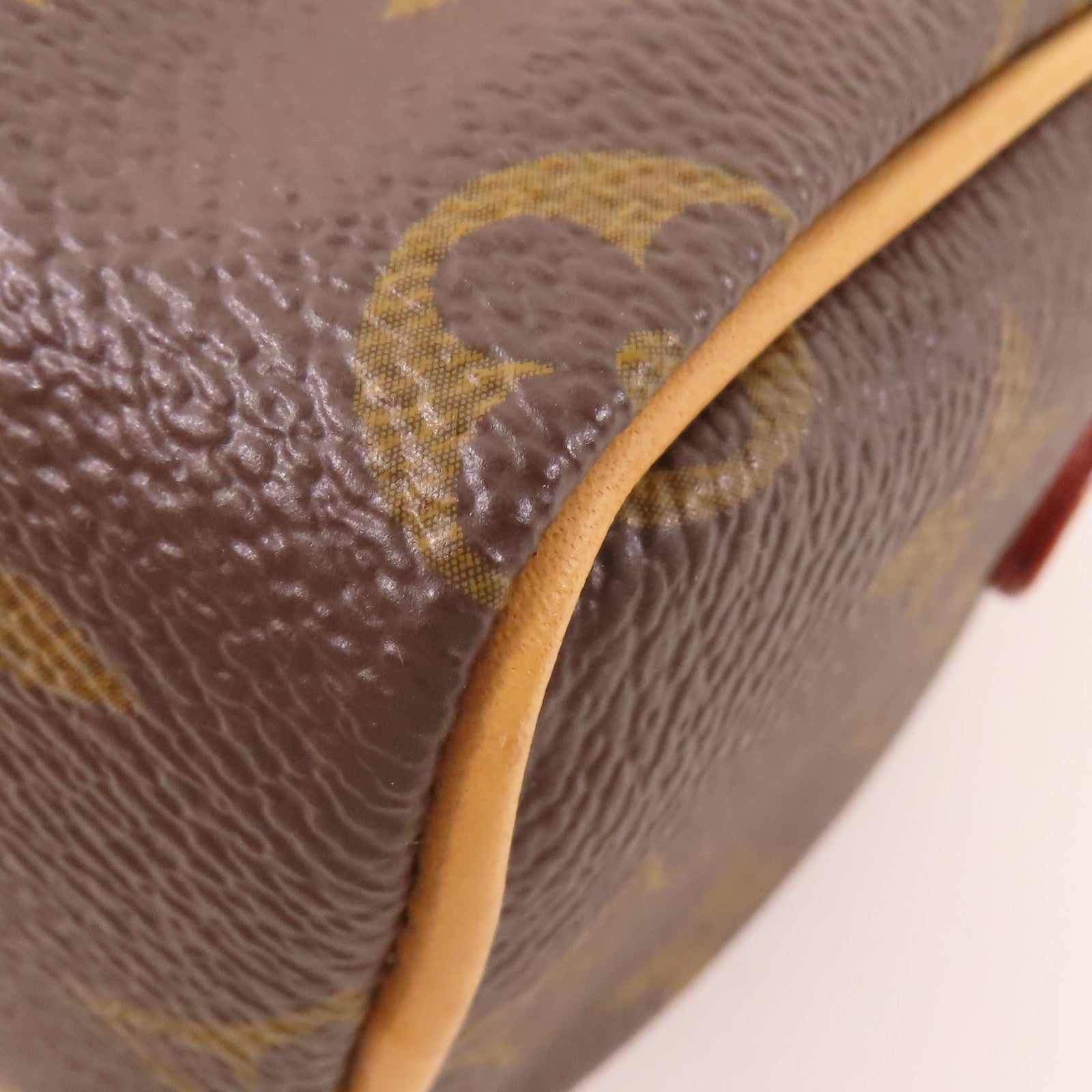 LOUIS VUITTON Monogram Nano Speedy金扣手挽肩背兩用袋