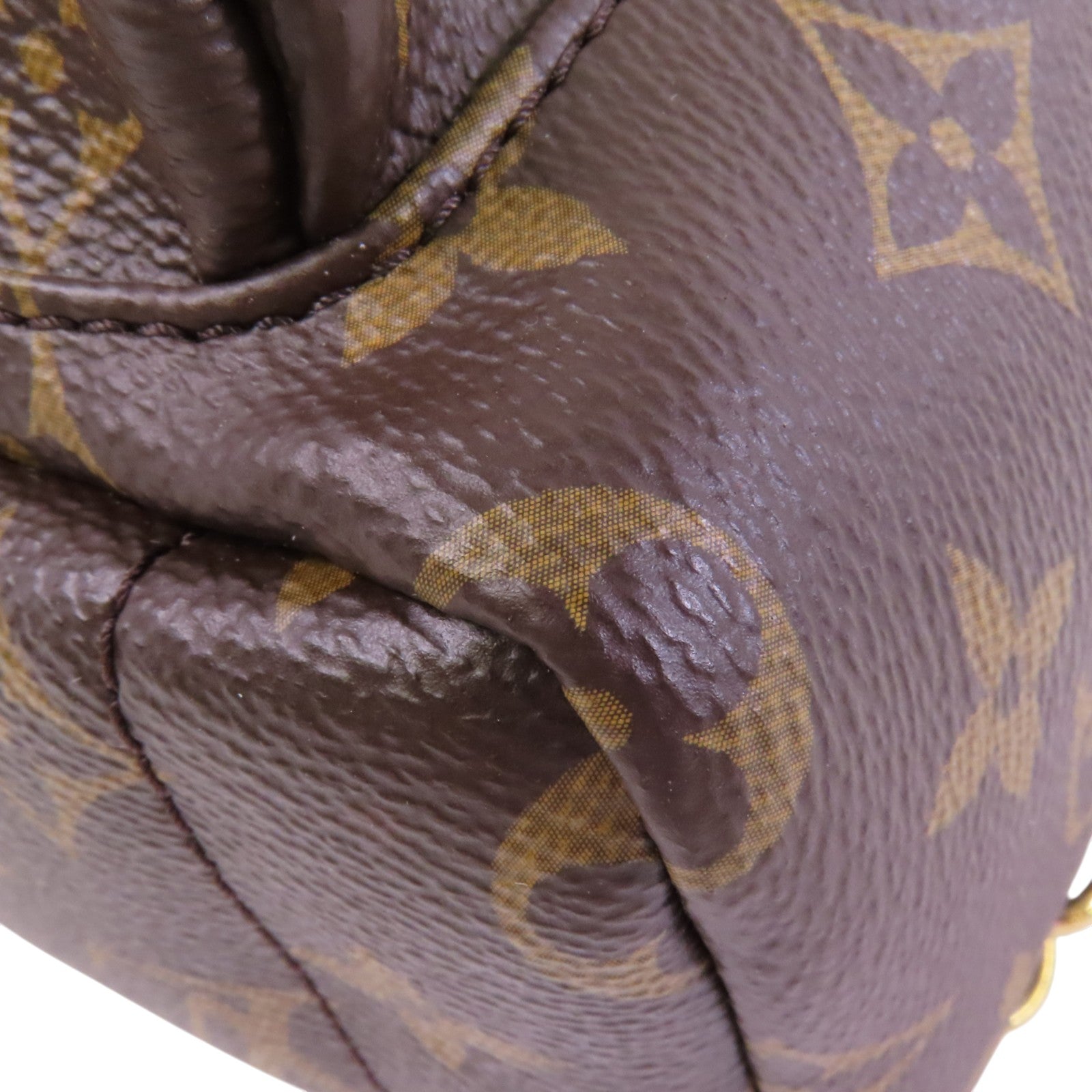 LOUIS VUITTON Monogram Palm Spring Mini銀扣背包/肩背兩用袋