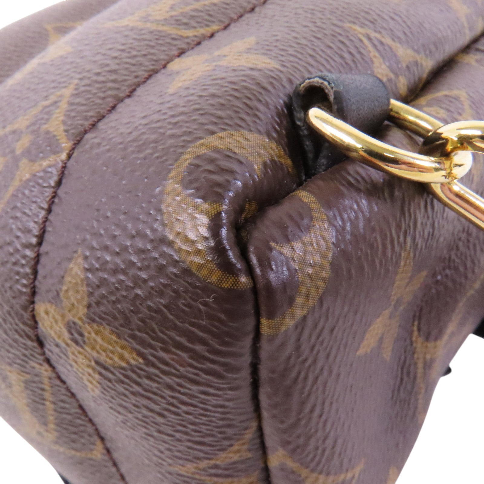 LOUIS VUITTON Monogram Palm Spring Mini銀扣背包/肩背兩用袋