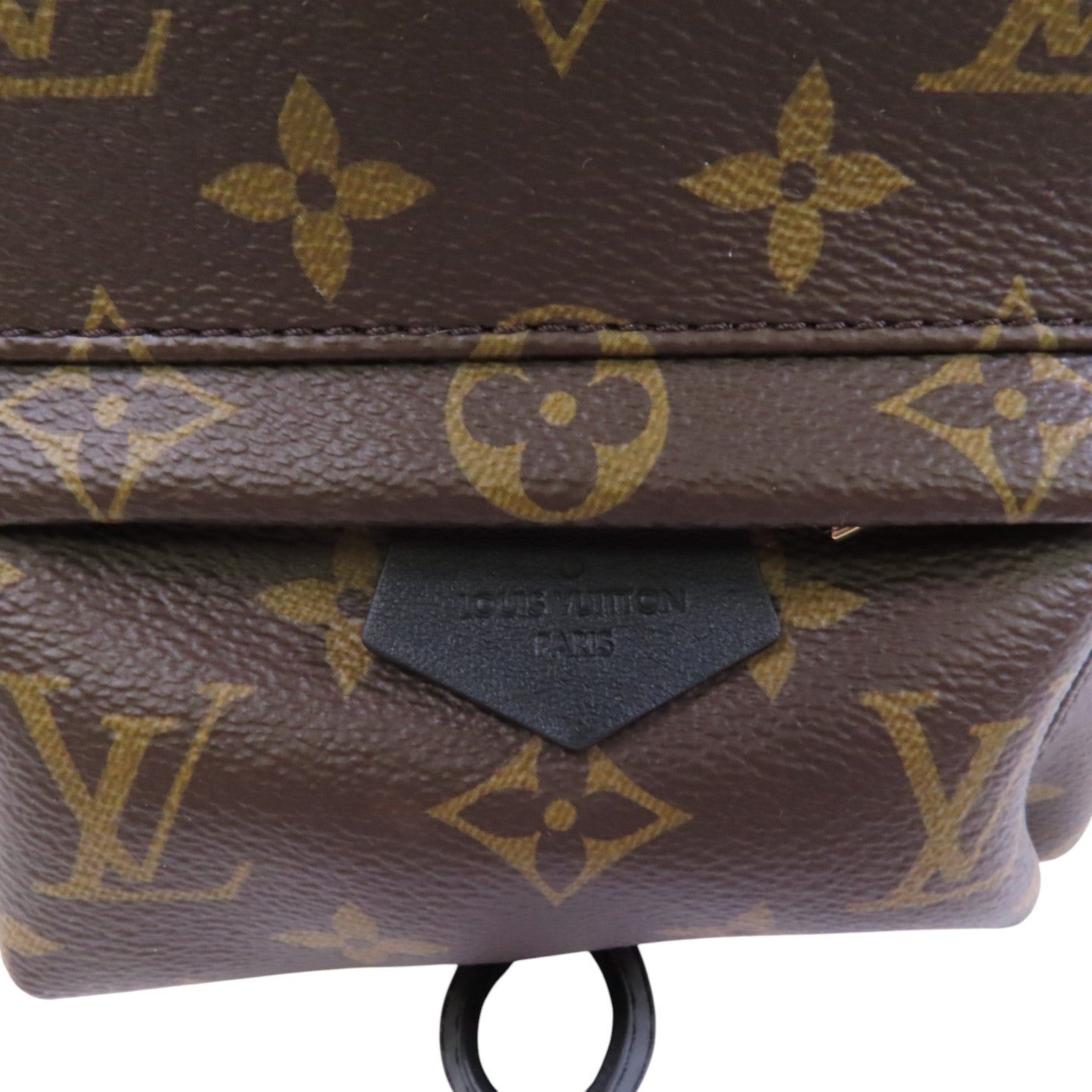 LOUIS VUITTON Monogram Palm Spring Mini銀扣背包/肩背兩用袋