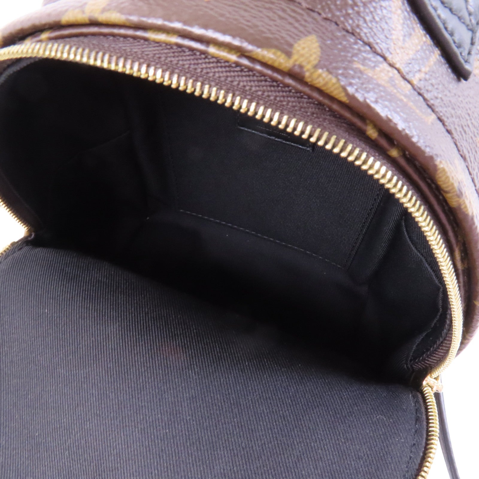 LOUIS VUITTON Monogram Palm Spring Mini銀扣背包/肩背兩用袋