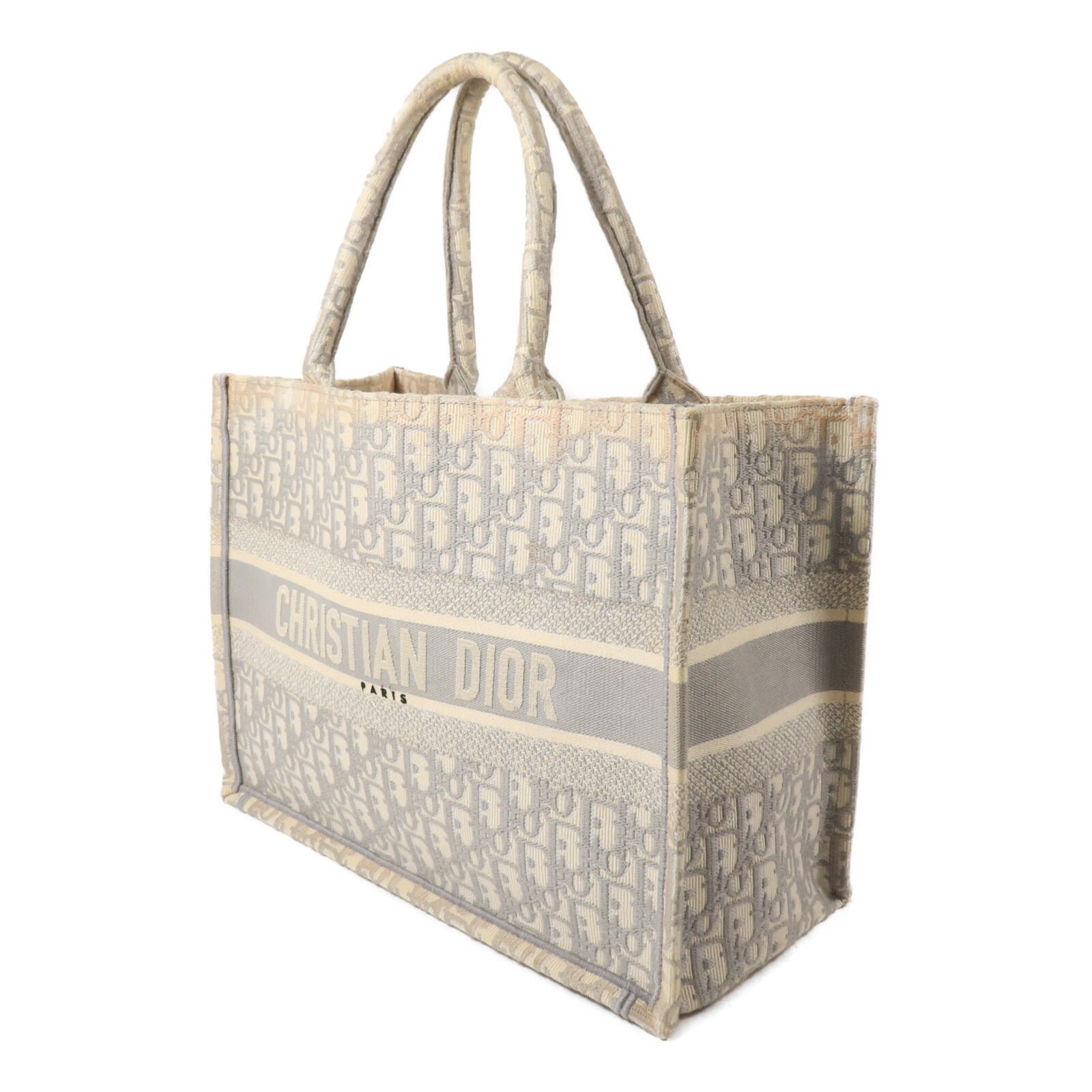 Dior 帆布Book Tote Medium手挽袋