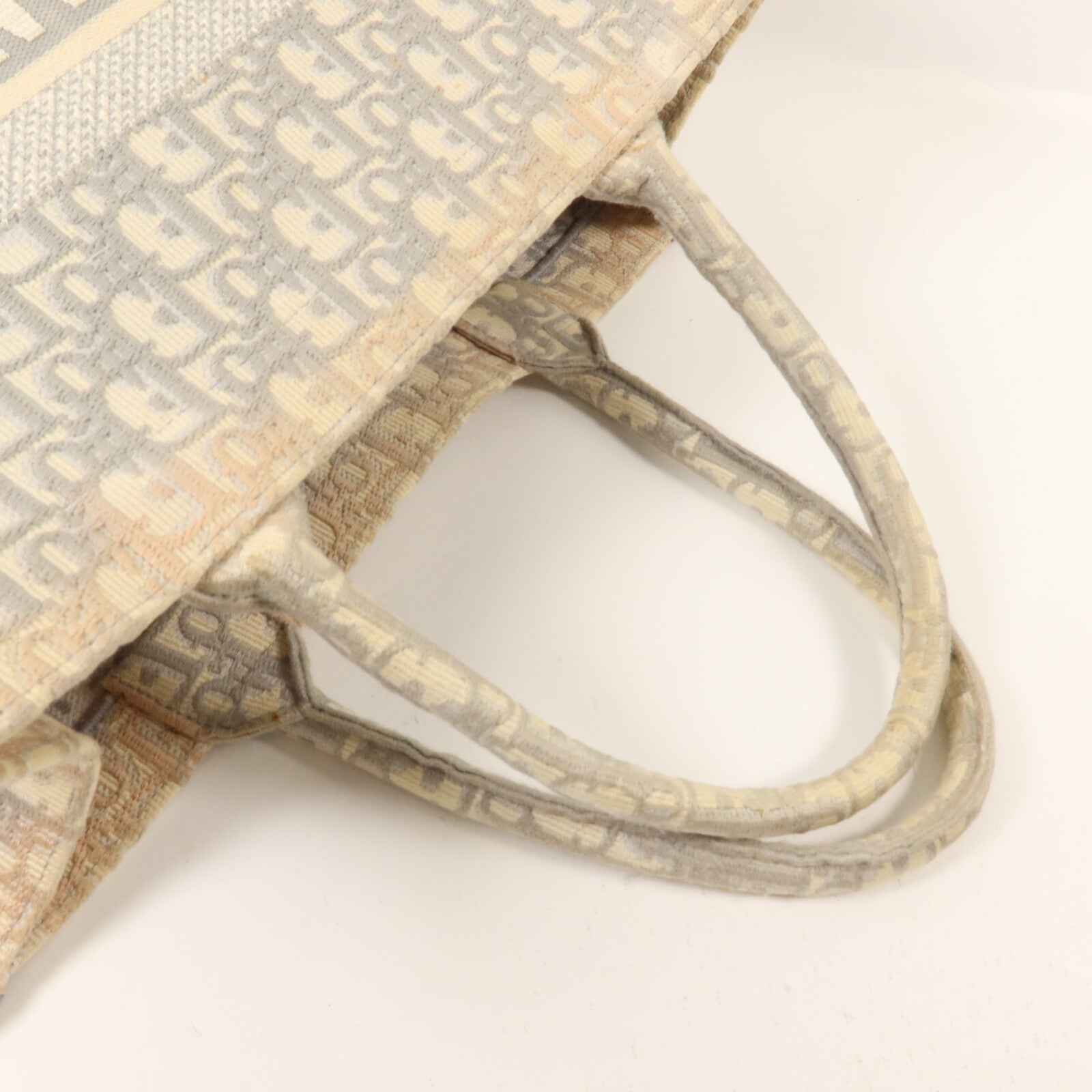 Dior 帆布Book Tote Medium手挽袋
