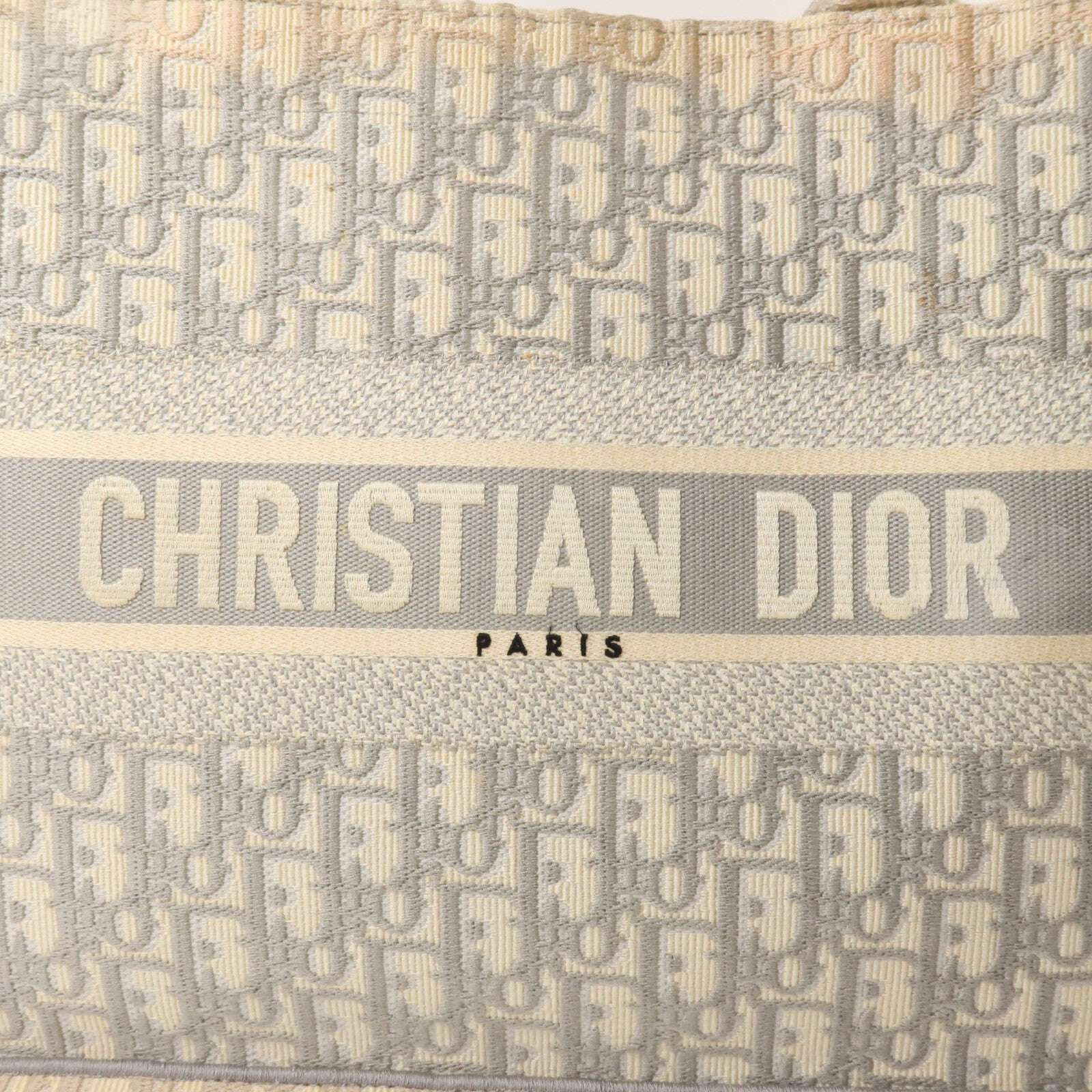 Dior 帆布Book Tote Medium手挽袋