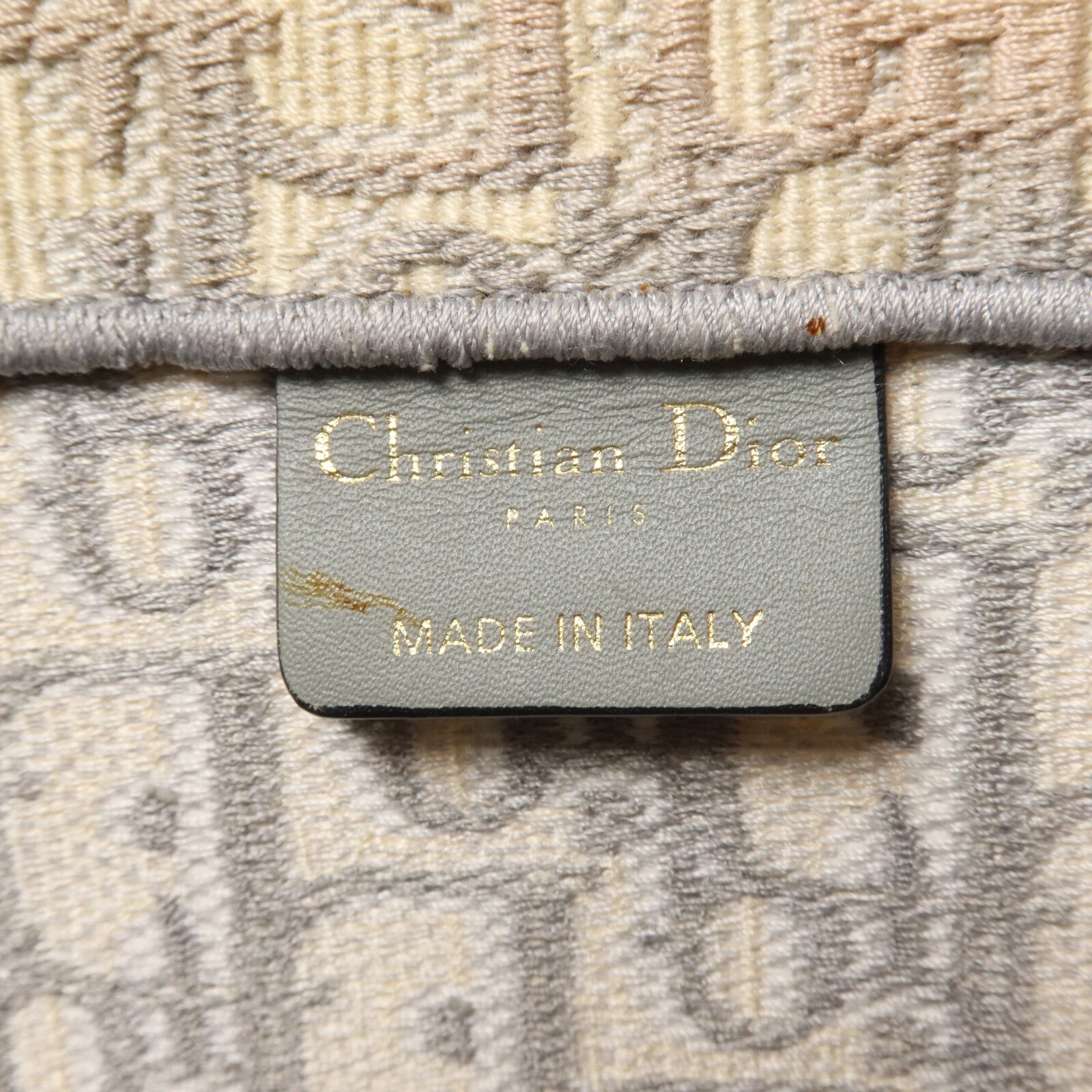 Dior 帆布Book Tote Medium手挽袋