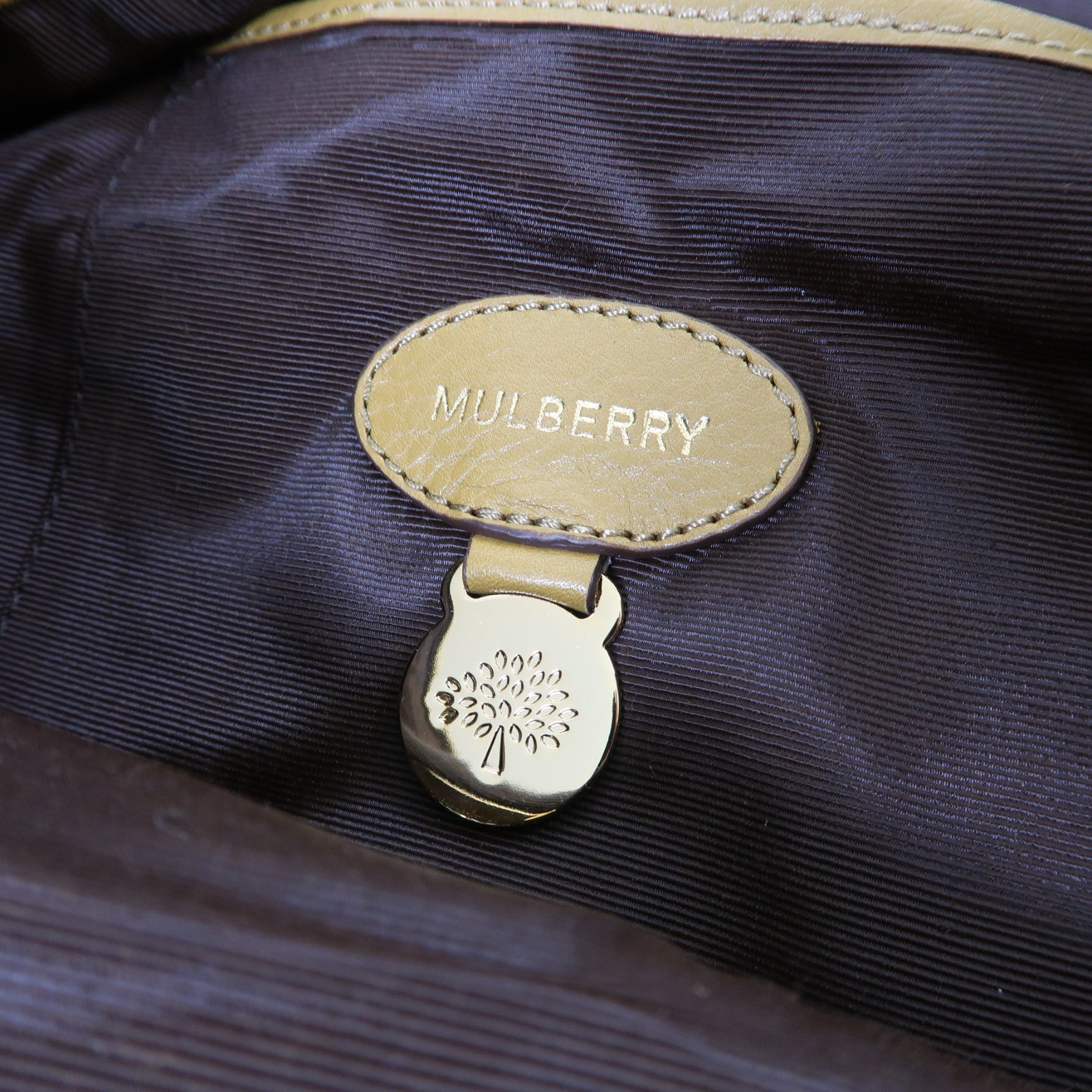 MULBERRY 牛皮皮革Daria Hobo金扣肩背袋綠色