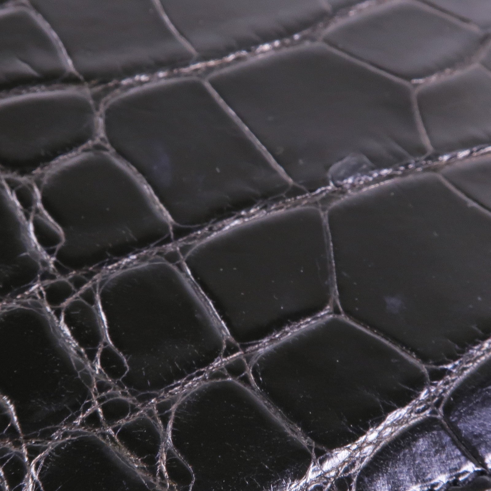 SAINT LAURENT 鱷魚皮革Classic Universite金扣肩背袋