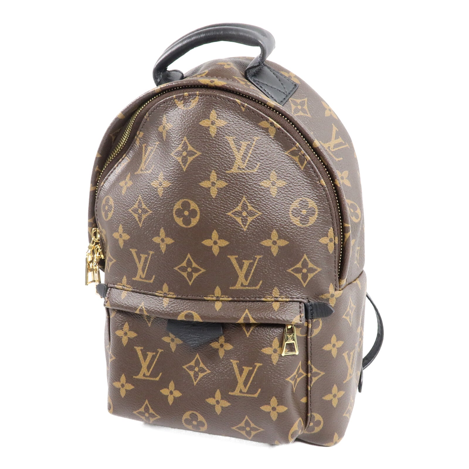 LOUIS VUITTON Monogram Palm Springs PM背包