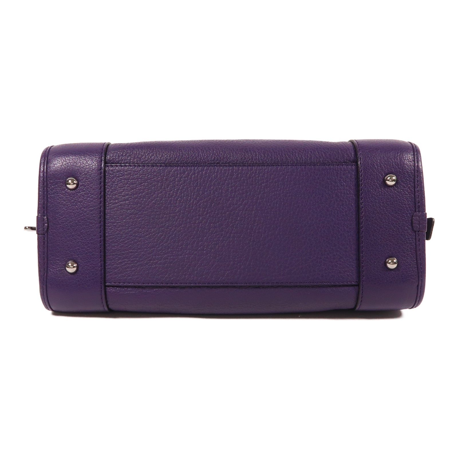 LOEWE 牛皮皮革Amazona銀扣手挽袋紫色