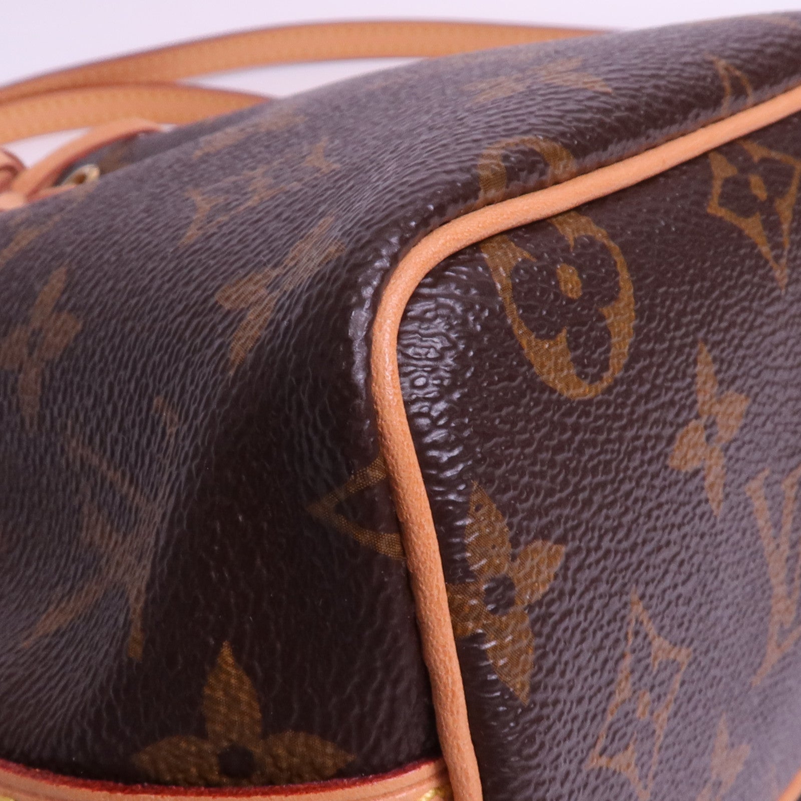 LOUIS VUITTON Monogram Nano Noe金扣肩背袋
