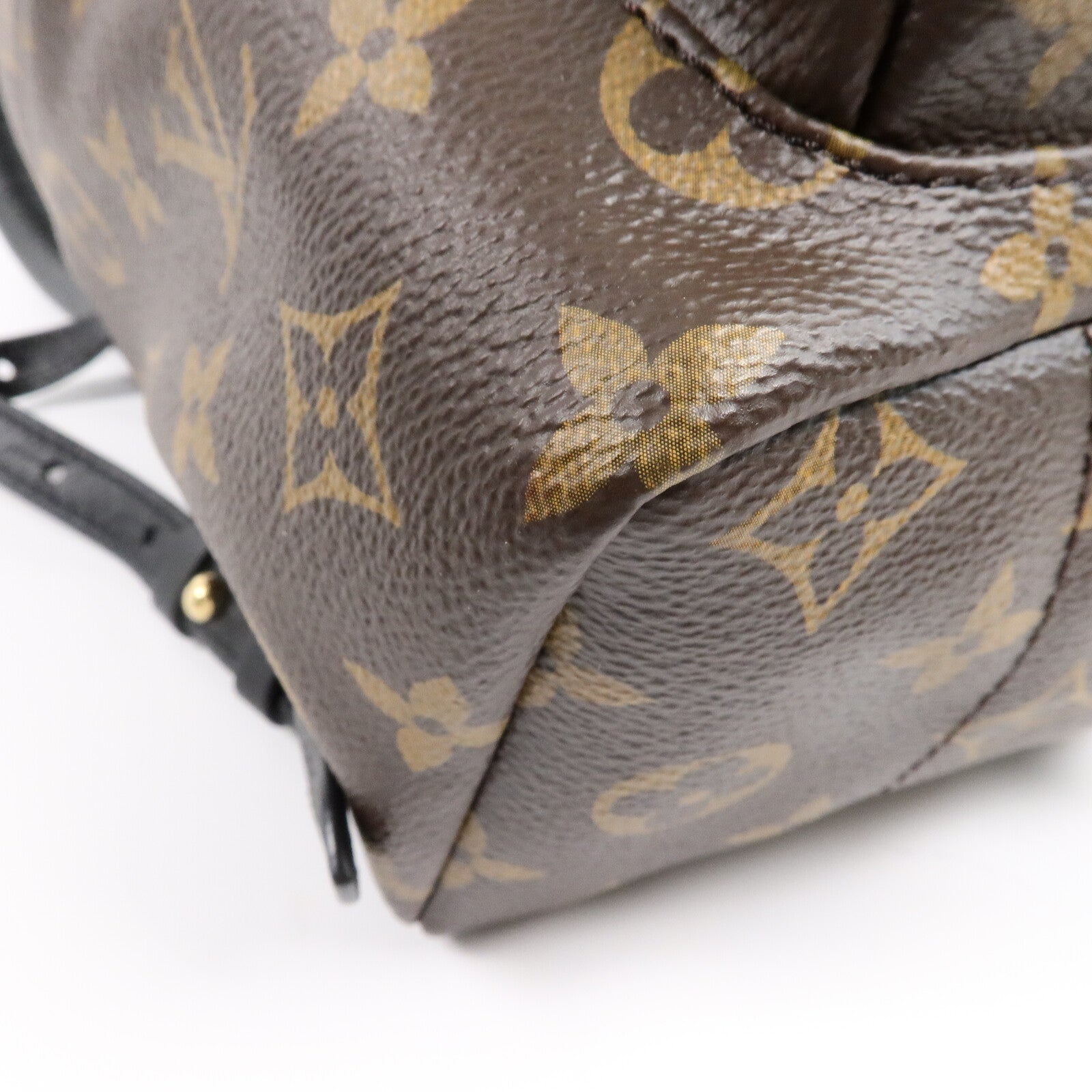 LOUIS VUITTON Monogram Palm Springs PM背包