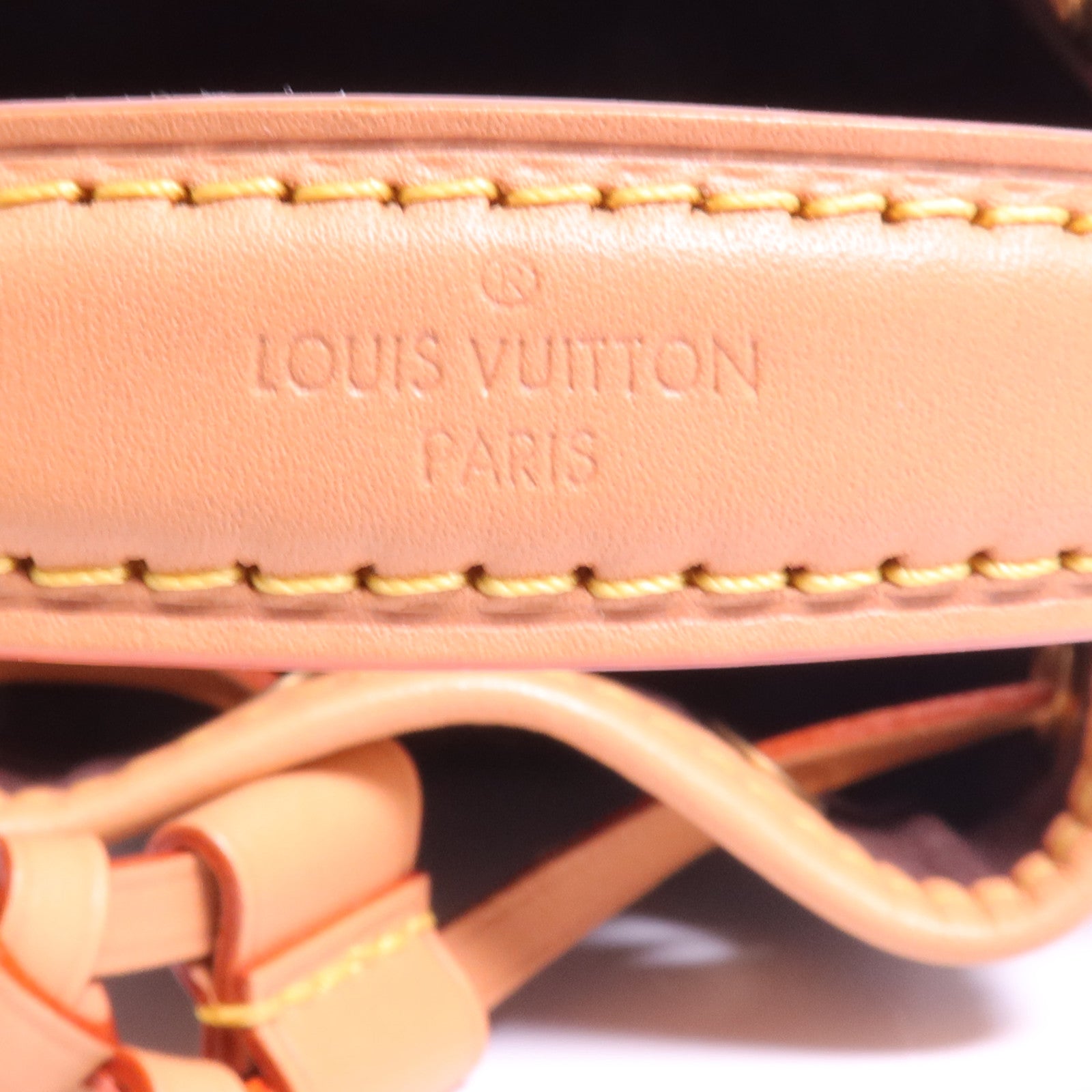 LOUIS VUITTON Monogram Nano Noe金扣手挽肩背兩用袋