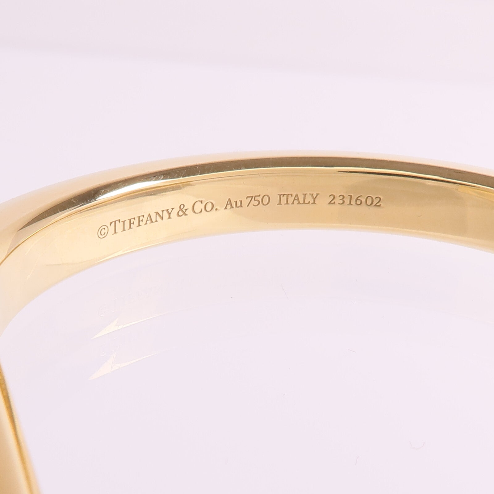 TIFFANY＆CO 18K黃金/白金Lock Bangle手鐲