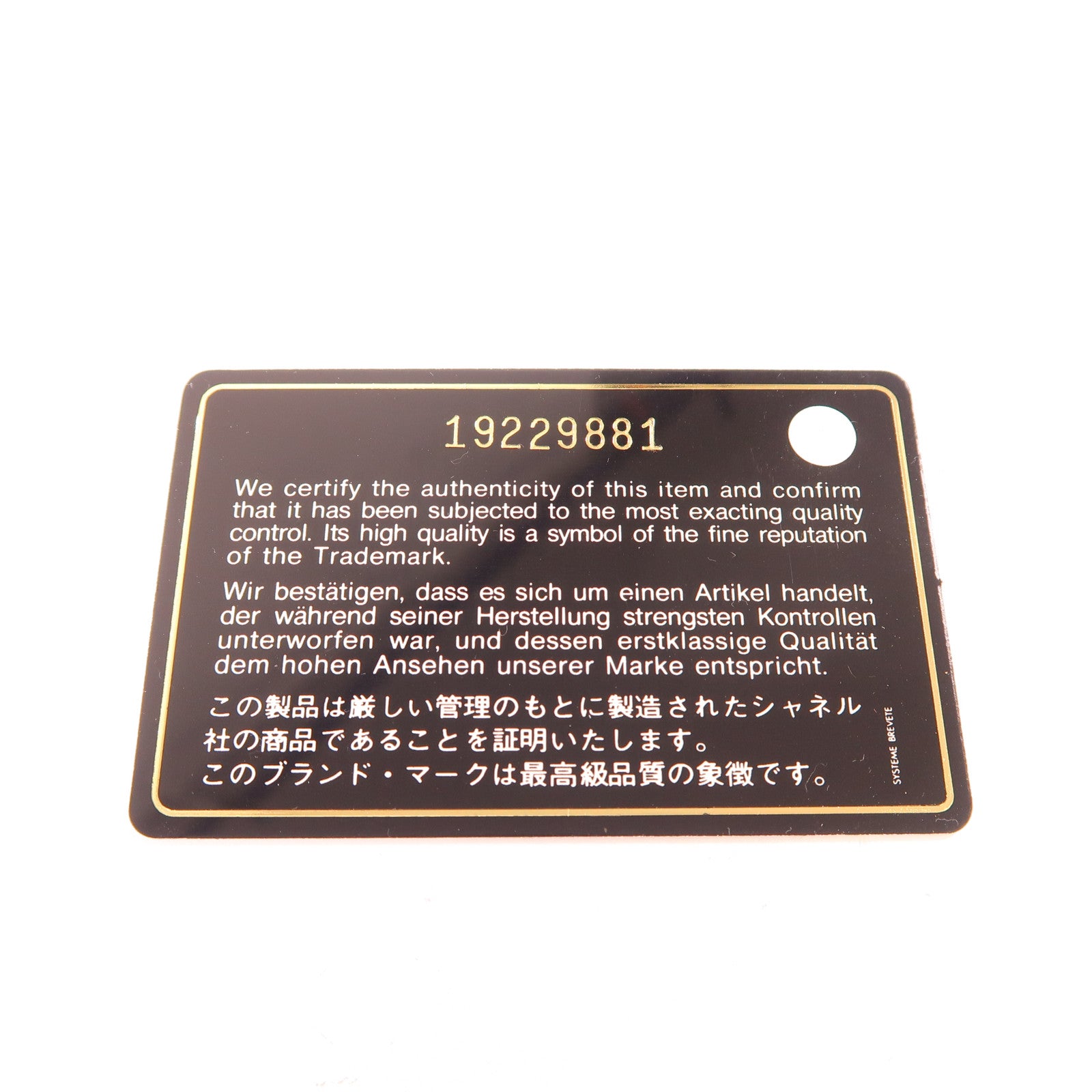 CHANEL 牛皮皮革Pouch銀扣手拿包