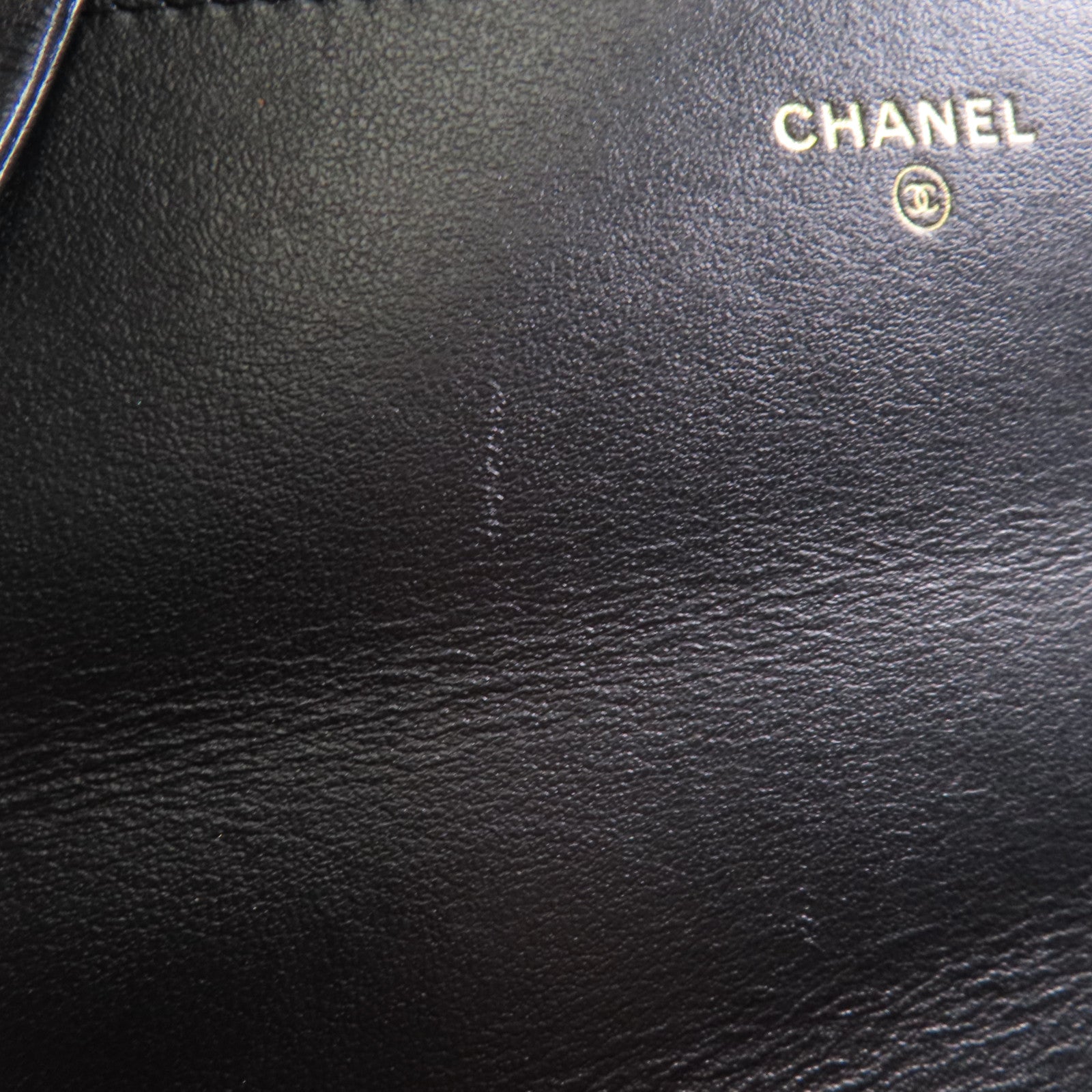CHANEL 帆布19WOC Wallet On Chain鏈帶肩背袋