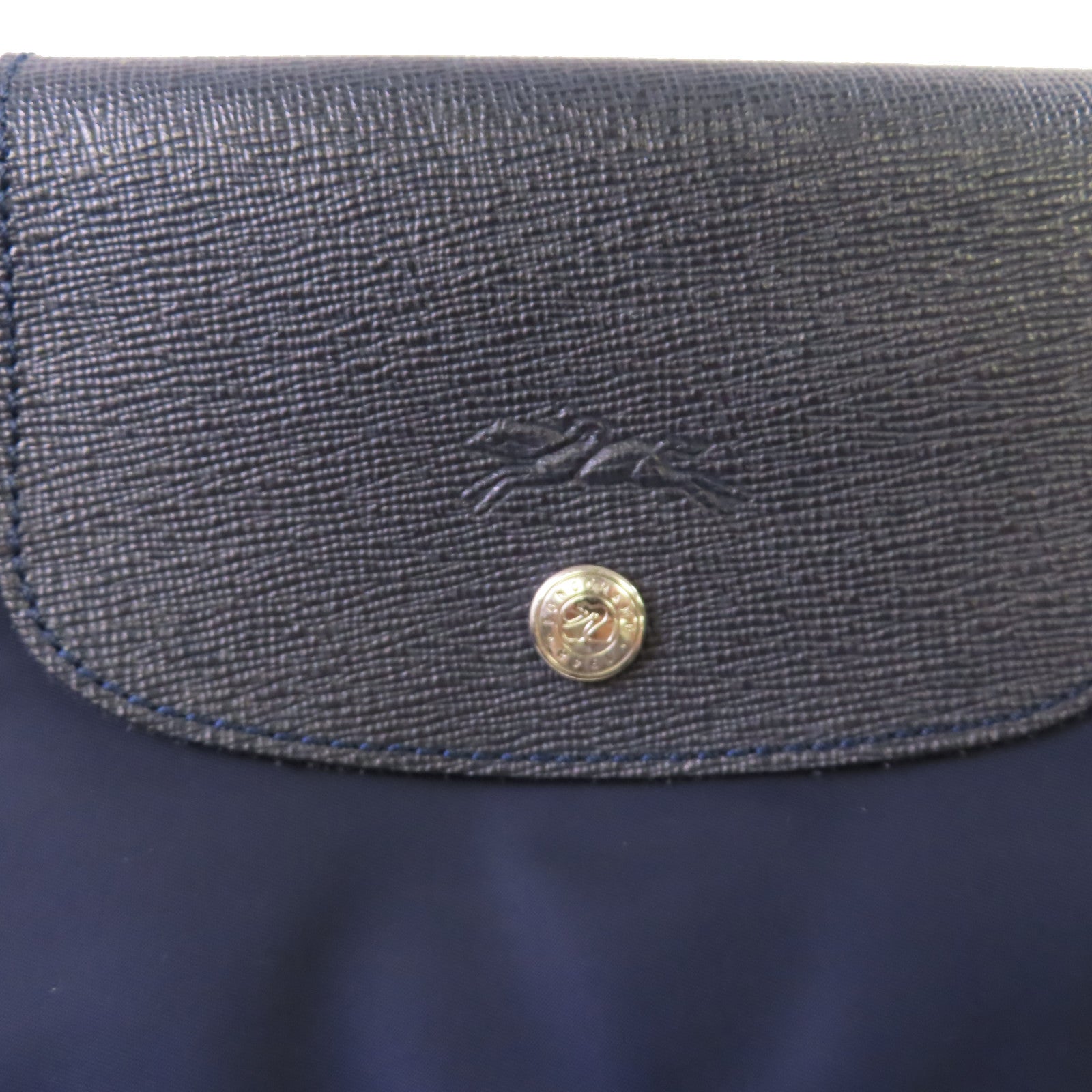 Longchamp 尼龍Tote Bag銀扣肩背袋寶藍色