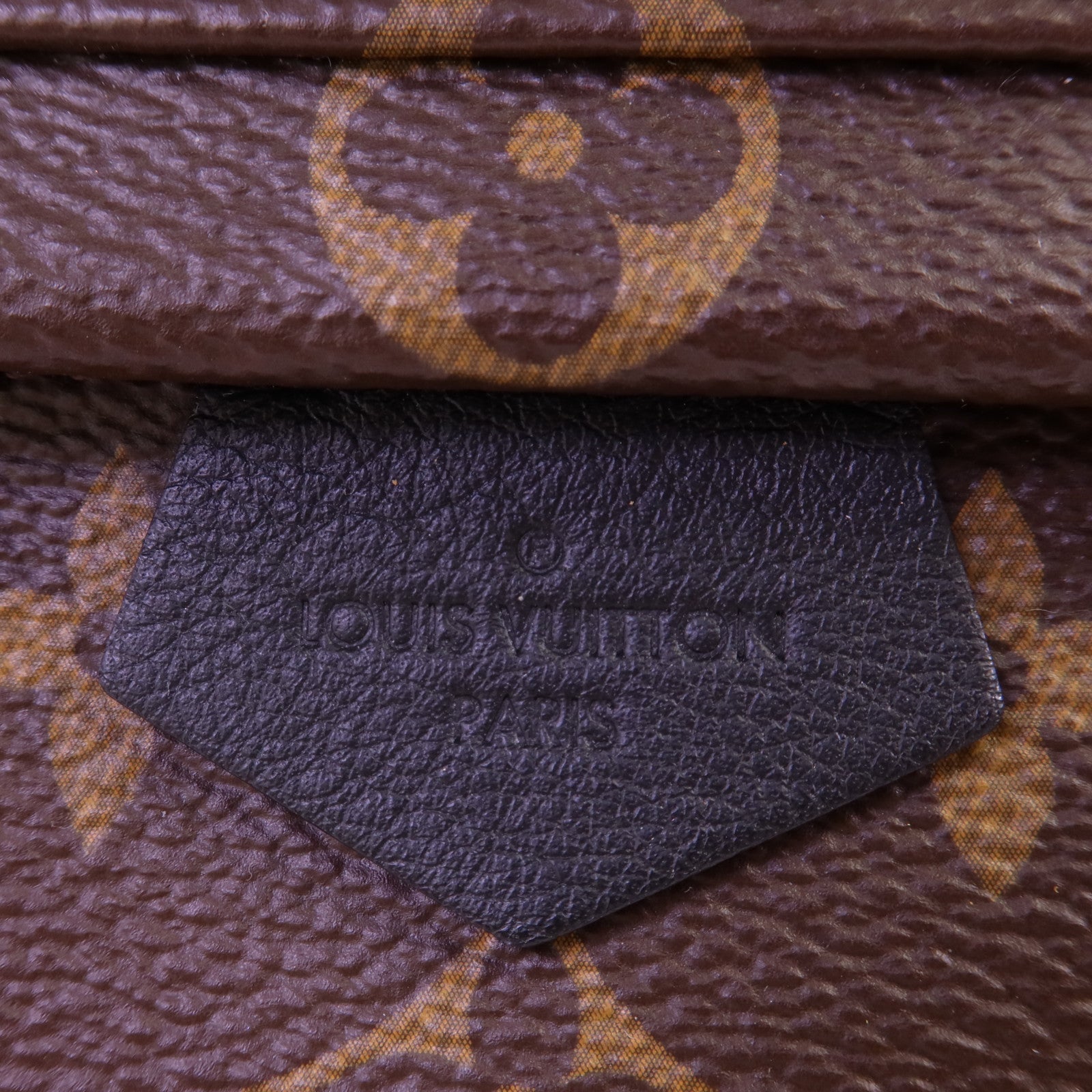 LOUIS VUITTON Monogram Palm Springs Mini金扣肩背袋