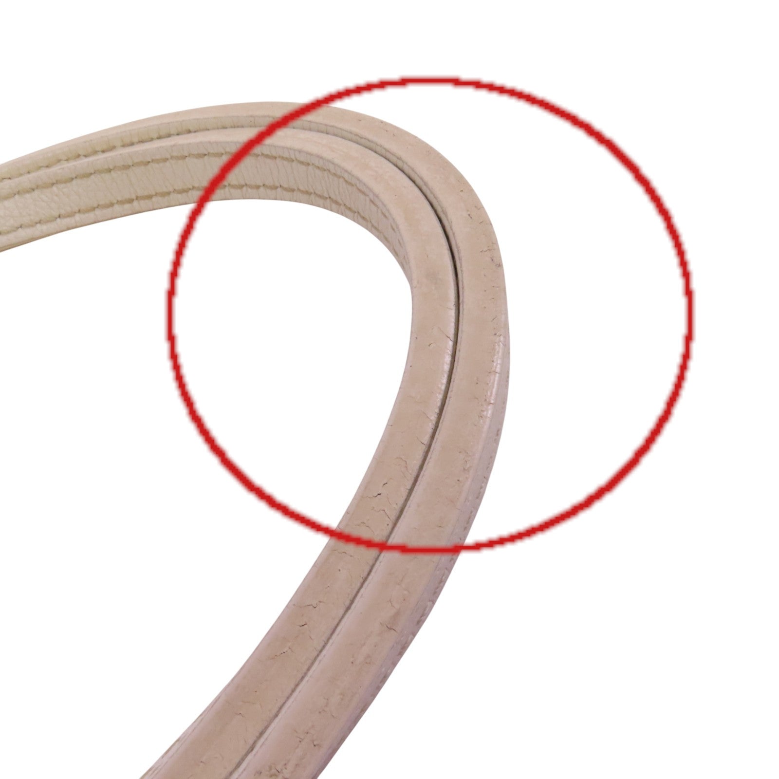 GOYARD 塗層帆布Saint Louis PM肩背袋