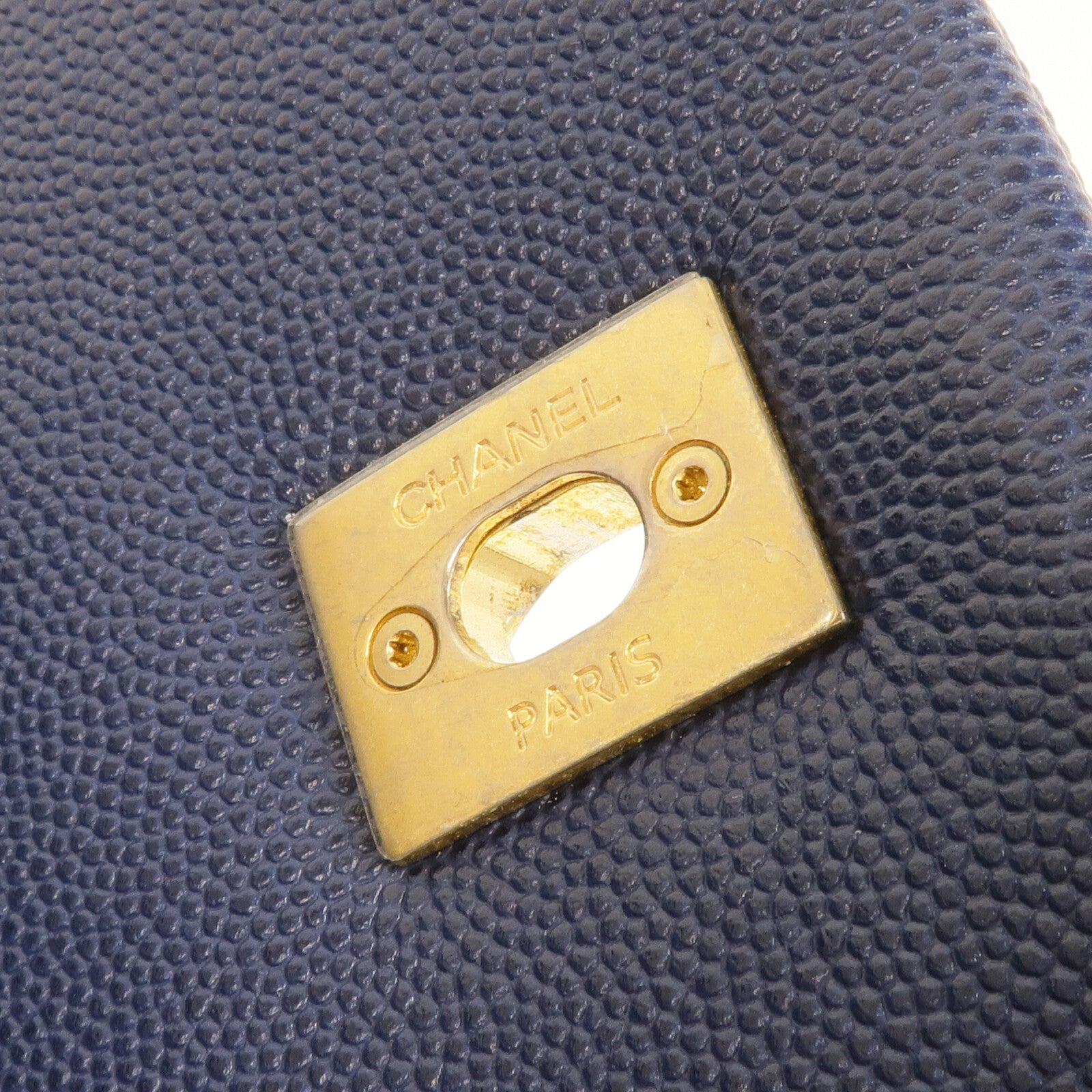 CHANEL 蜥蝪/牛皮皮革Coco Handle Medium金扣手挽肩背兩用袋