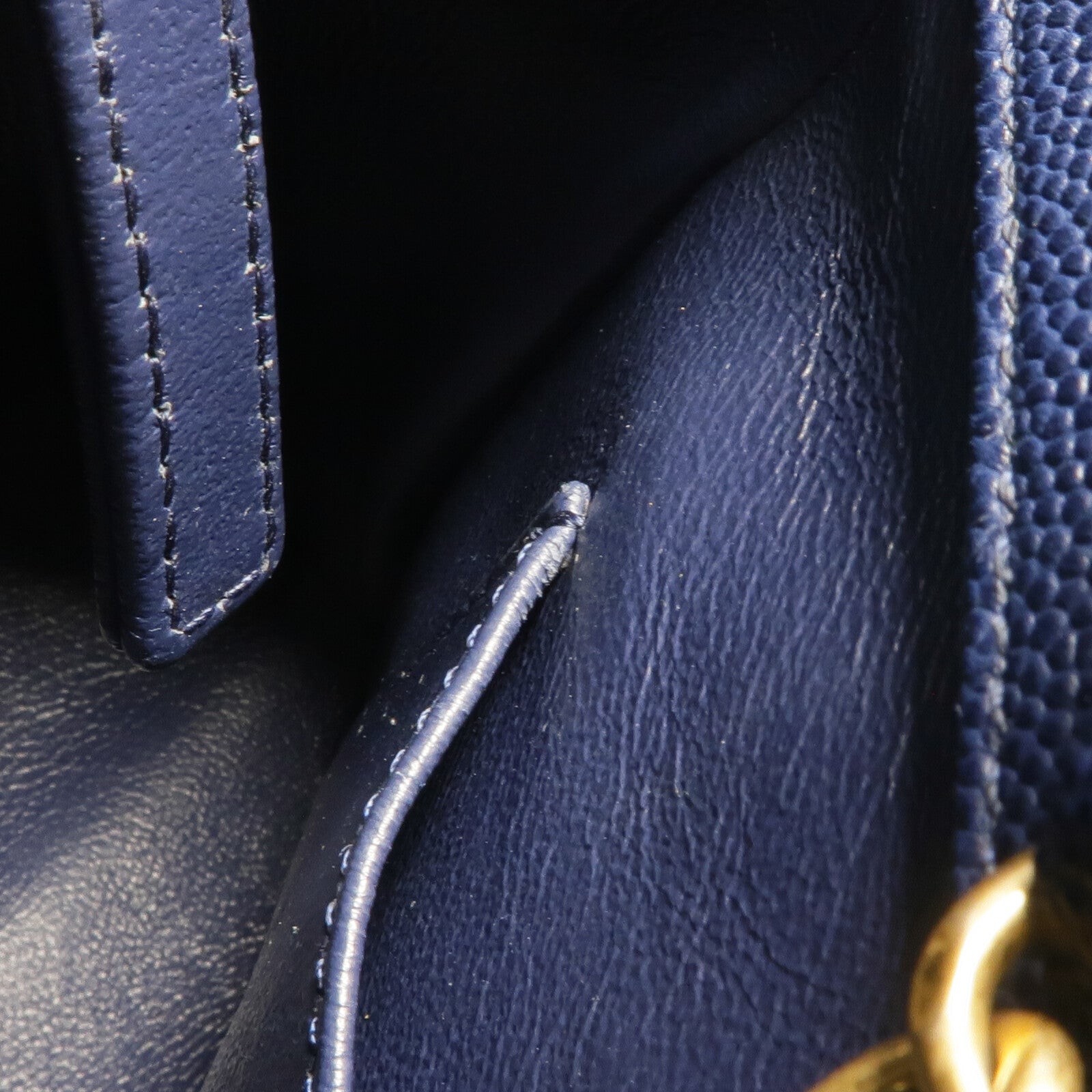 CHANEL 蜥蝪/牛皮皮革Coco Handle Medium金扣手挽肩背兩用袋