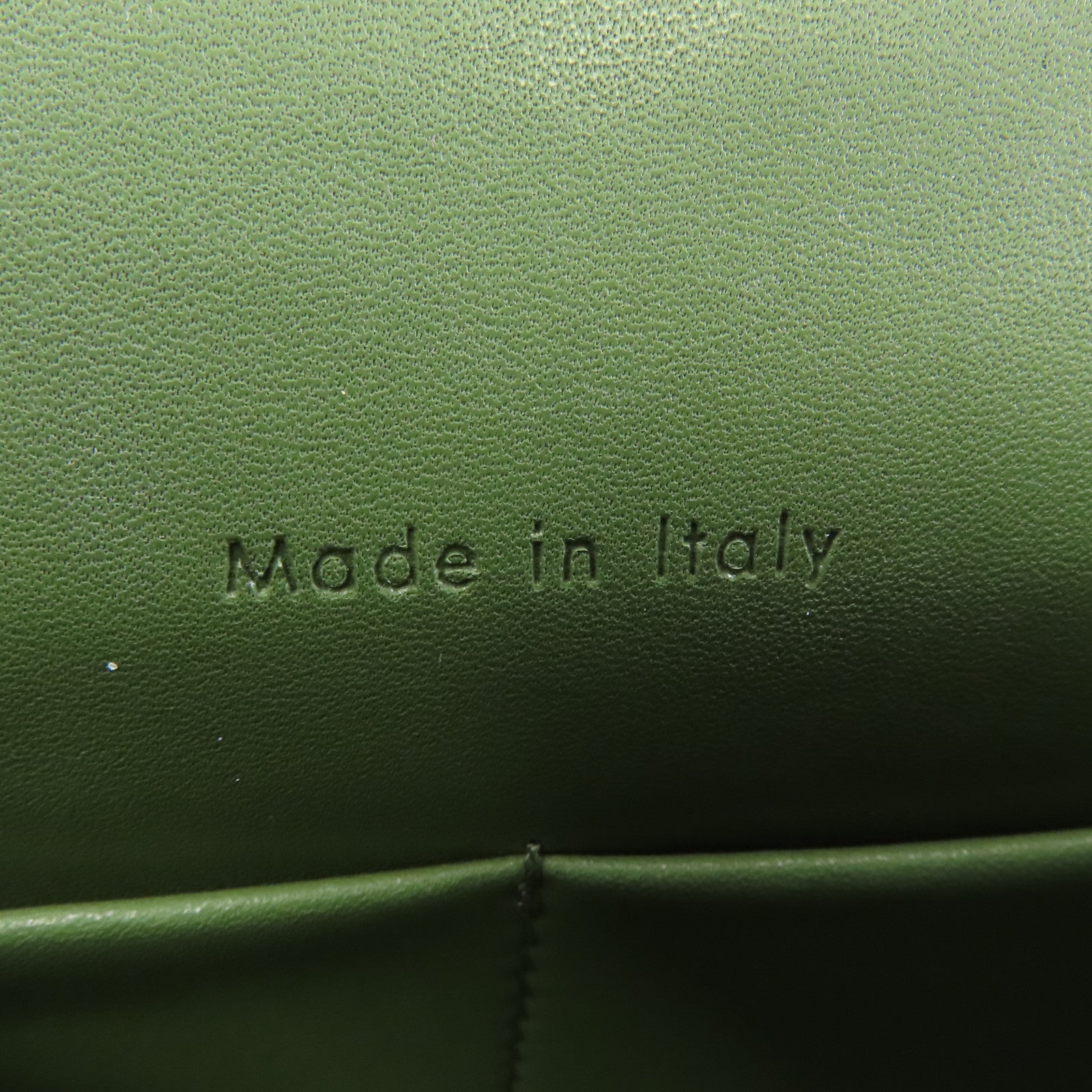 CELINE 牛皮皮革Troutteur Bag金扣肩背袋綠色