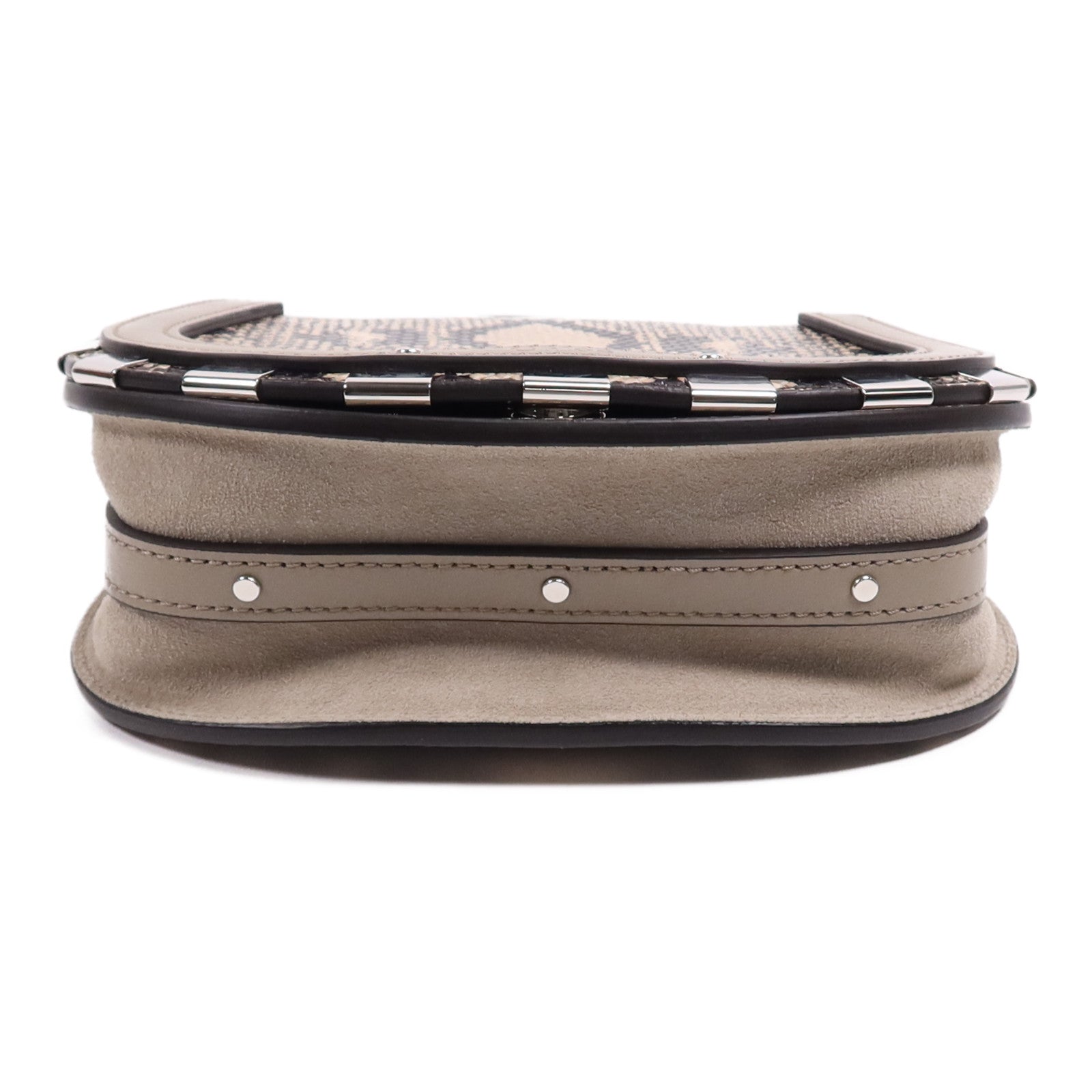 Chloe 蛇皮皮革2 Way Shoulder Bag銀扣手挽肩背兩用袋