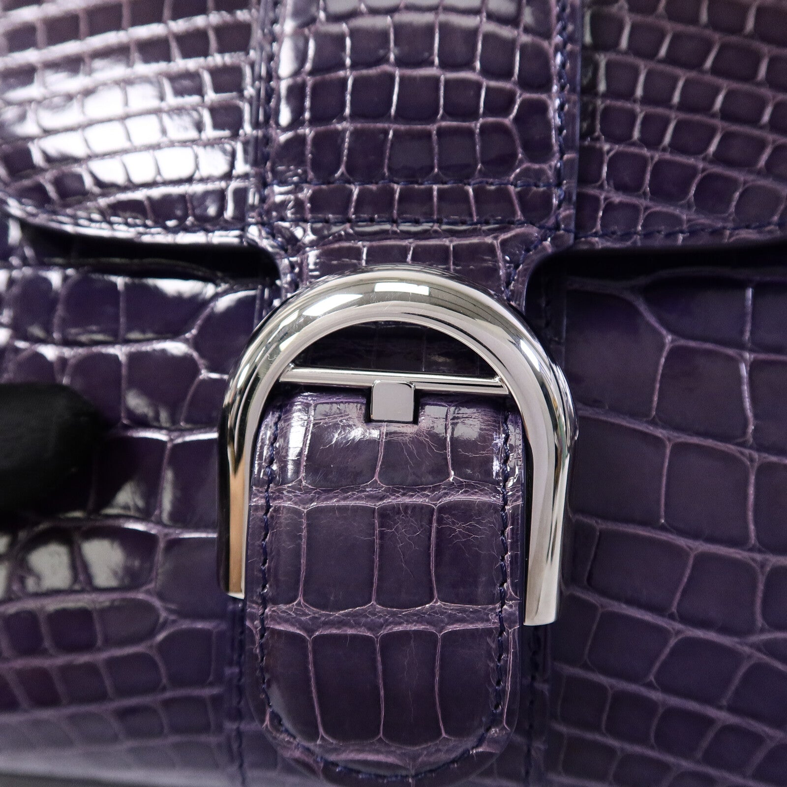 Delvaux 鱷魚皮革Brillant Mini手挽肩背兩用袋