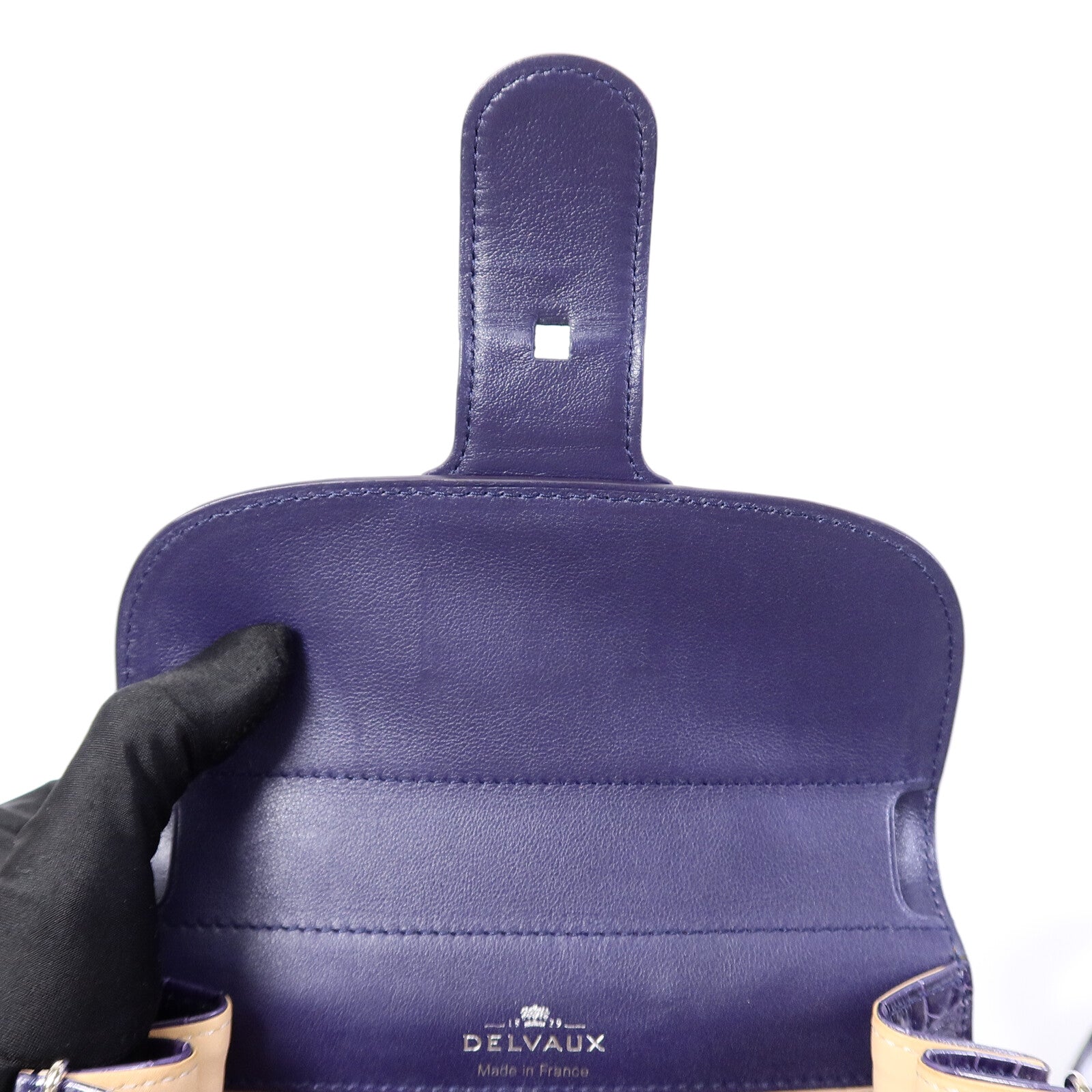 Delvaux 鱷魚皮革Brillant Mini手挽肩背兩用袋