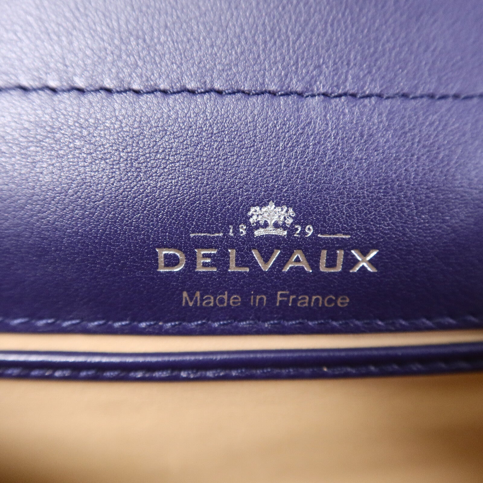 Delvaux 鱷魚皮革Brillant Mini手挽肩背兩用袋