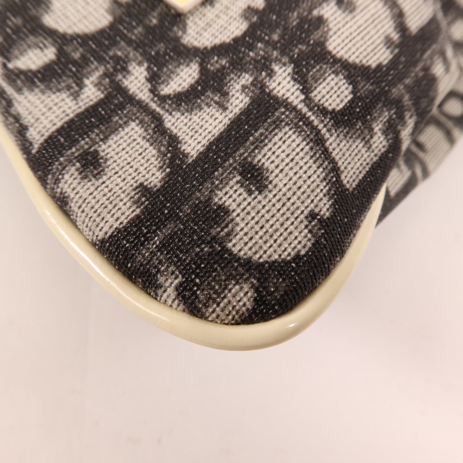 Dior 塗層帆布Tote Bag銀扣手挽袋