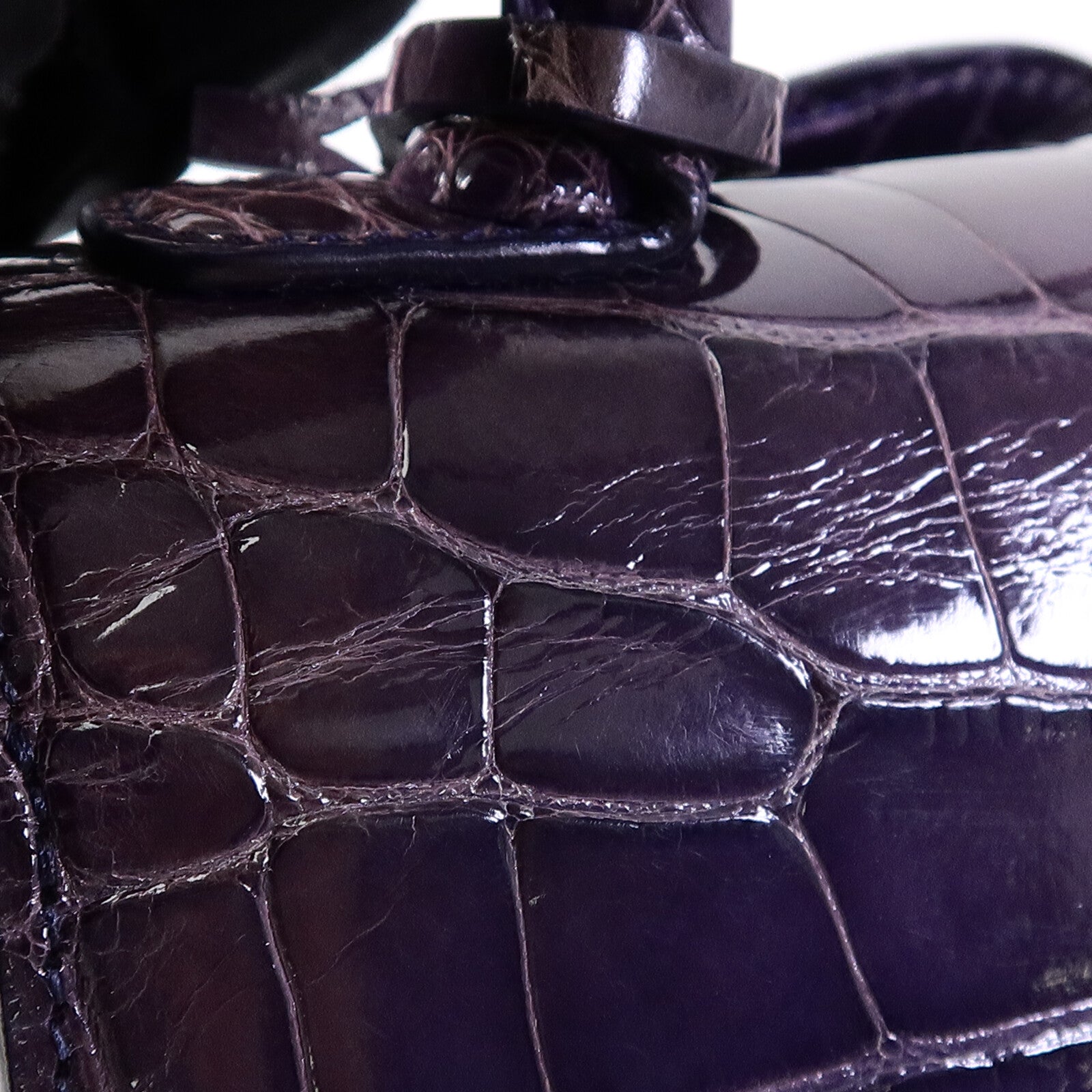 Delvaux 鱷魚皮革Brillant Mini手挽肩背兩用袋