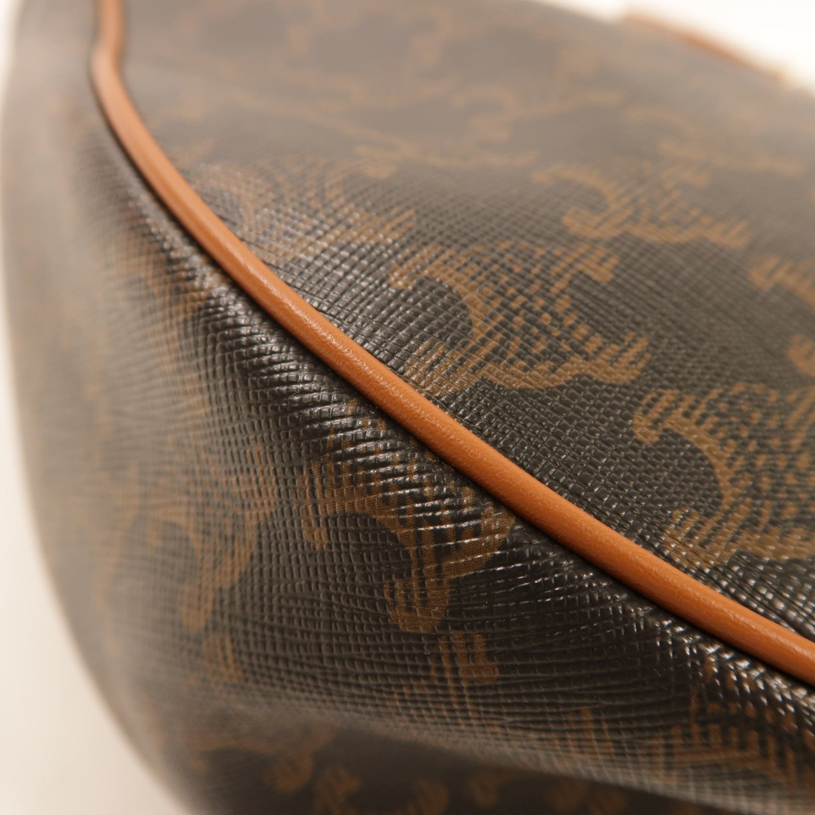 CELINE 帆布Heloise Triomphe Bag肩背袋