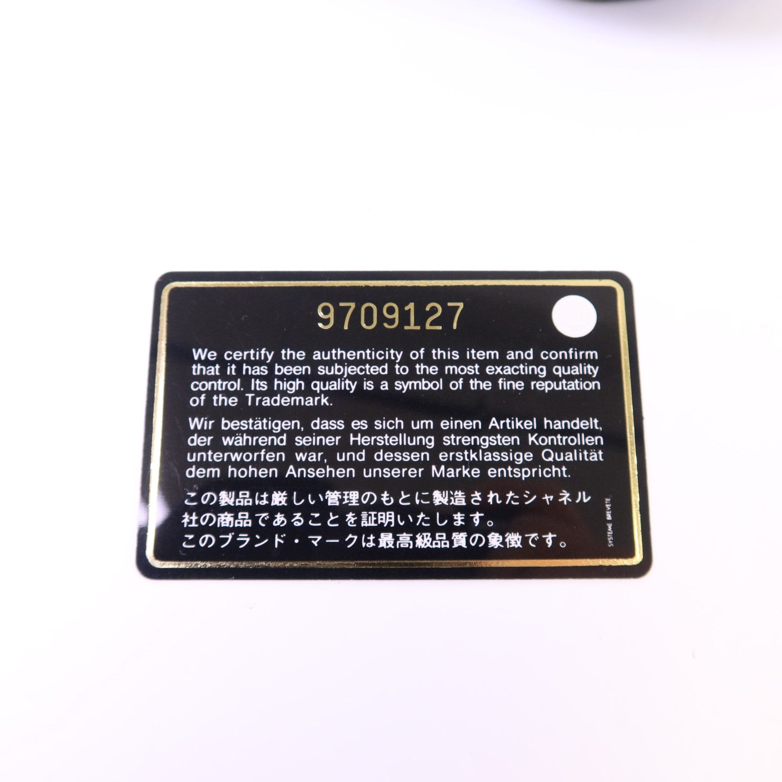 CHANEL 皮革Handbag銀扣手挽袋