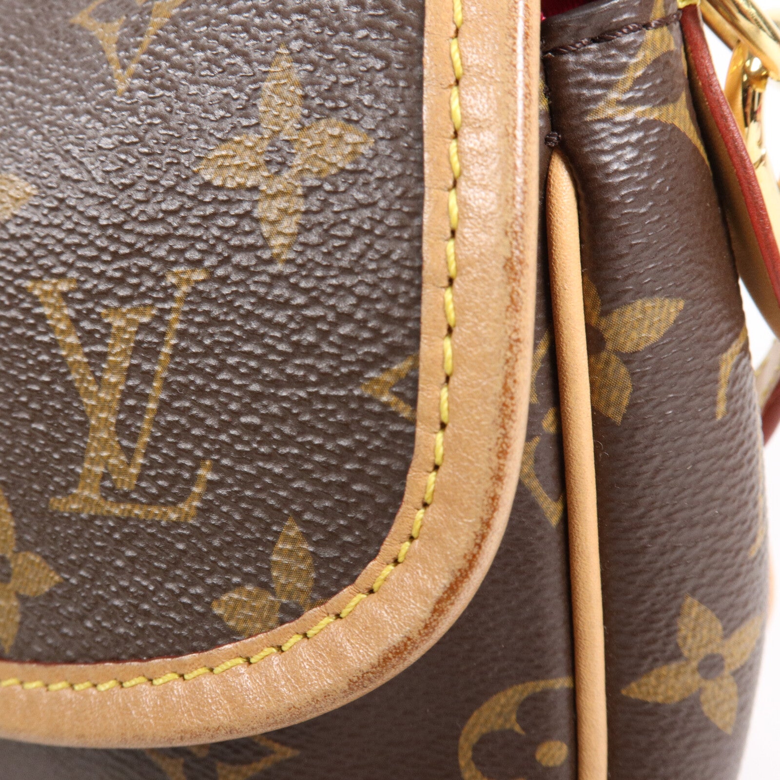 LOUIS VUITTON Monogram Diane手挽肩背兩用袋