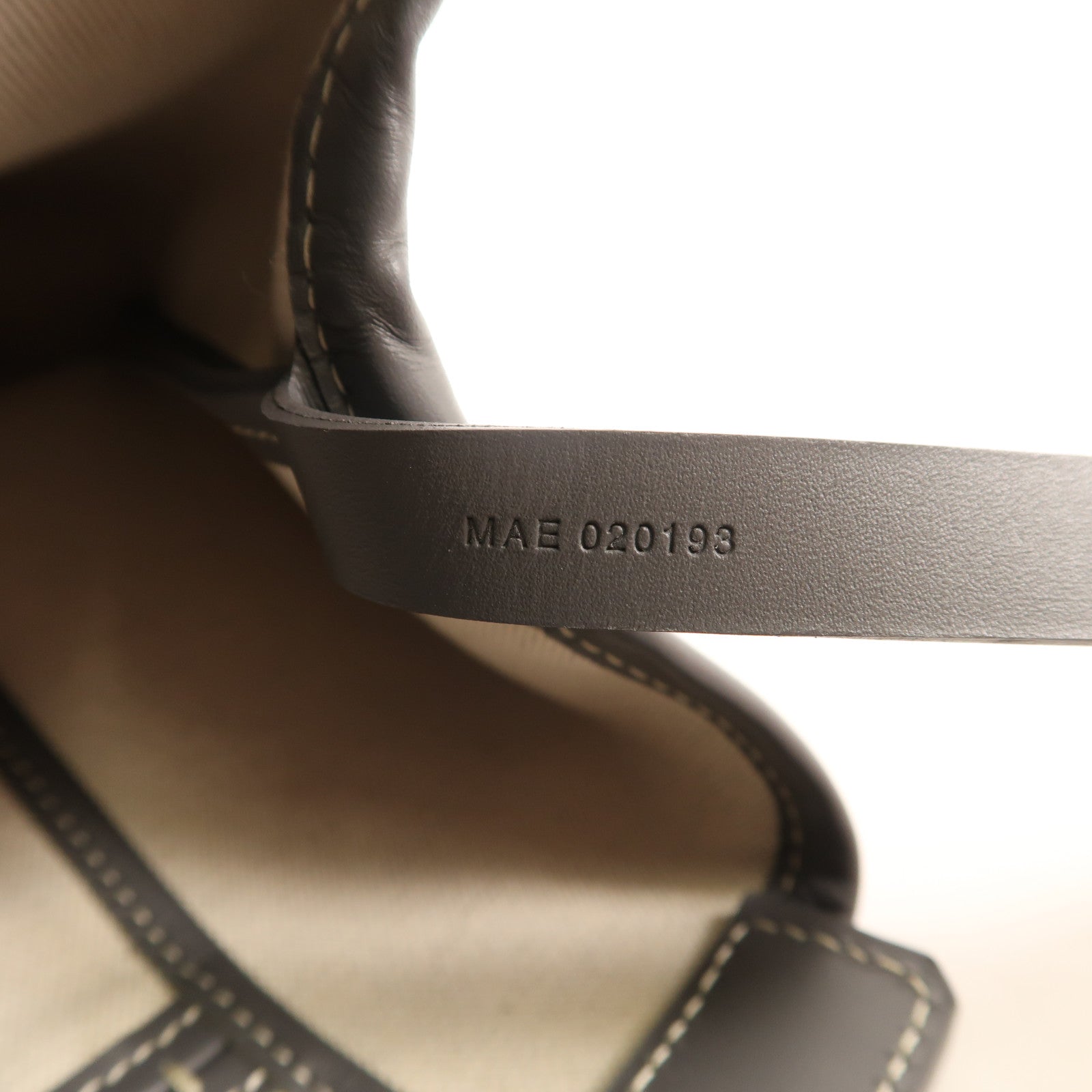 GOYARD 塗層帆布Bellechasse Blaude PM肩背袋