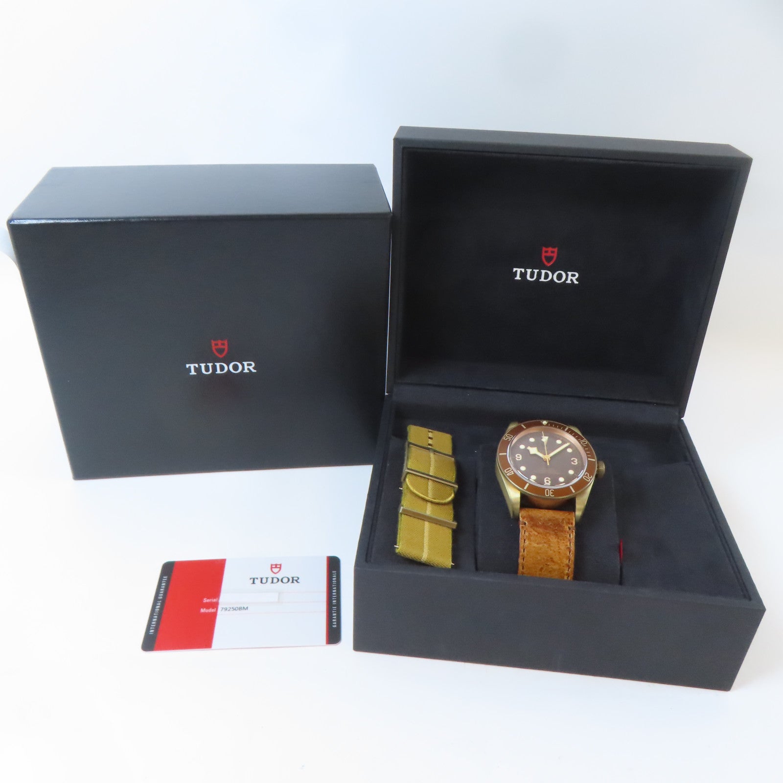 TUDOR Black Bay Bronze青銅/皮革帶手錶自動機芯銅色