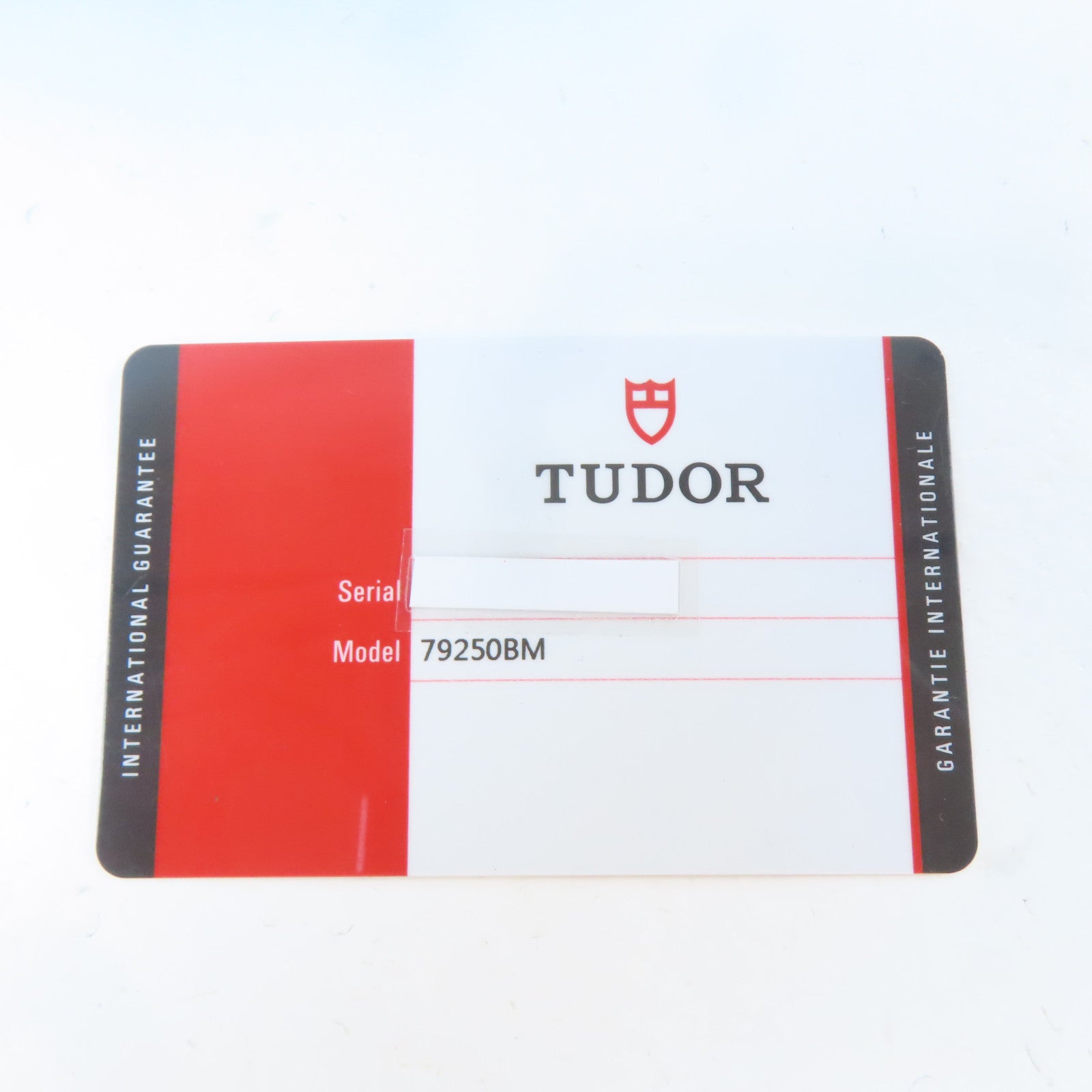 TUDOR Black Bay Bronze青銅/皮革帶手錶自動機芯銅色