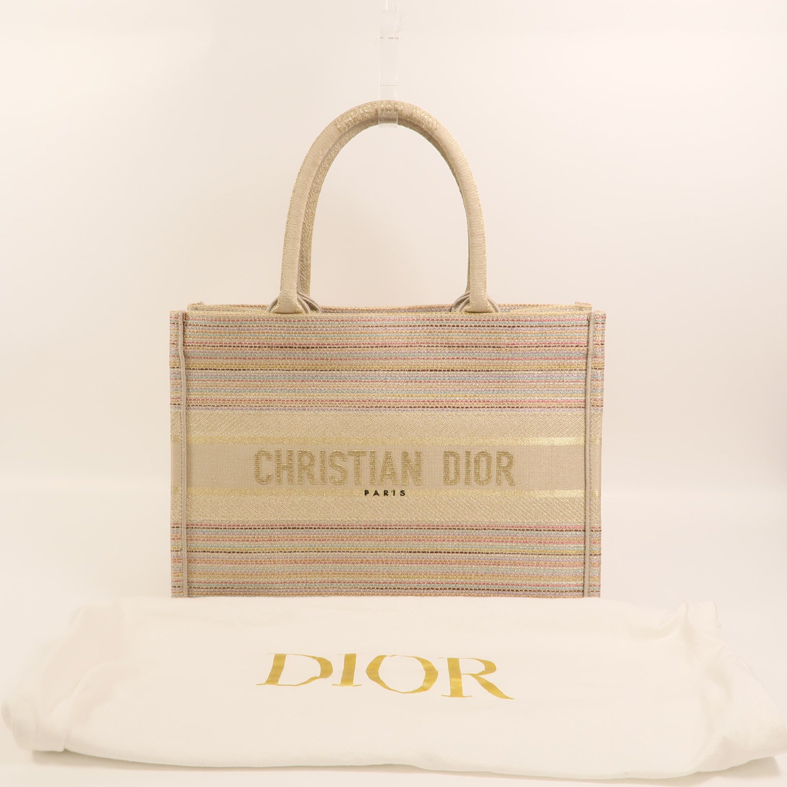 Dior 帆布Book Tote Medium手挽袋