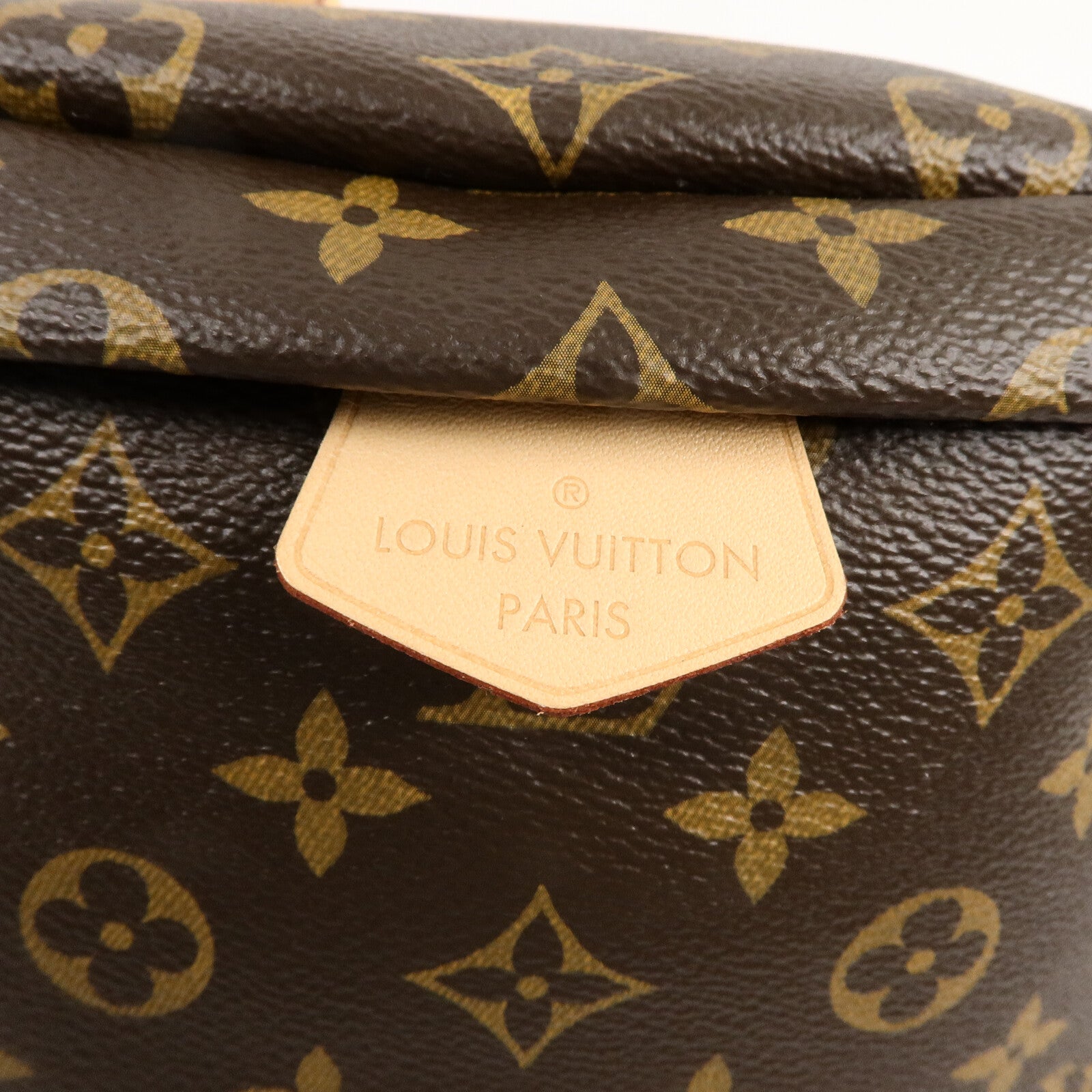 LOUIS VUITTON Monogram Bum Bag腰包