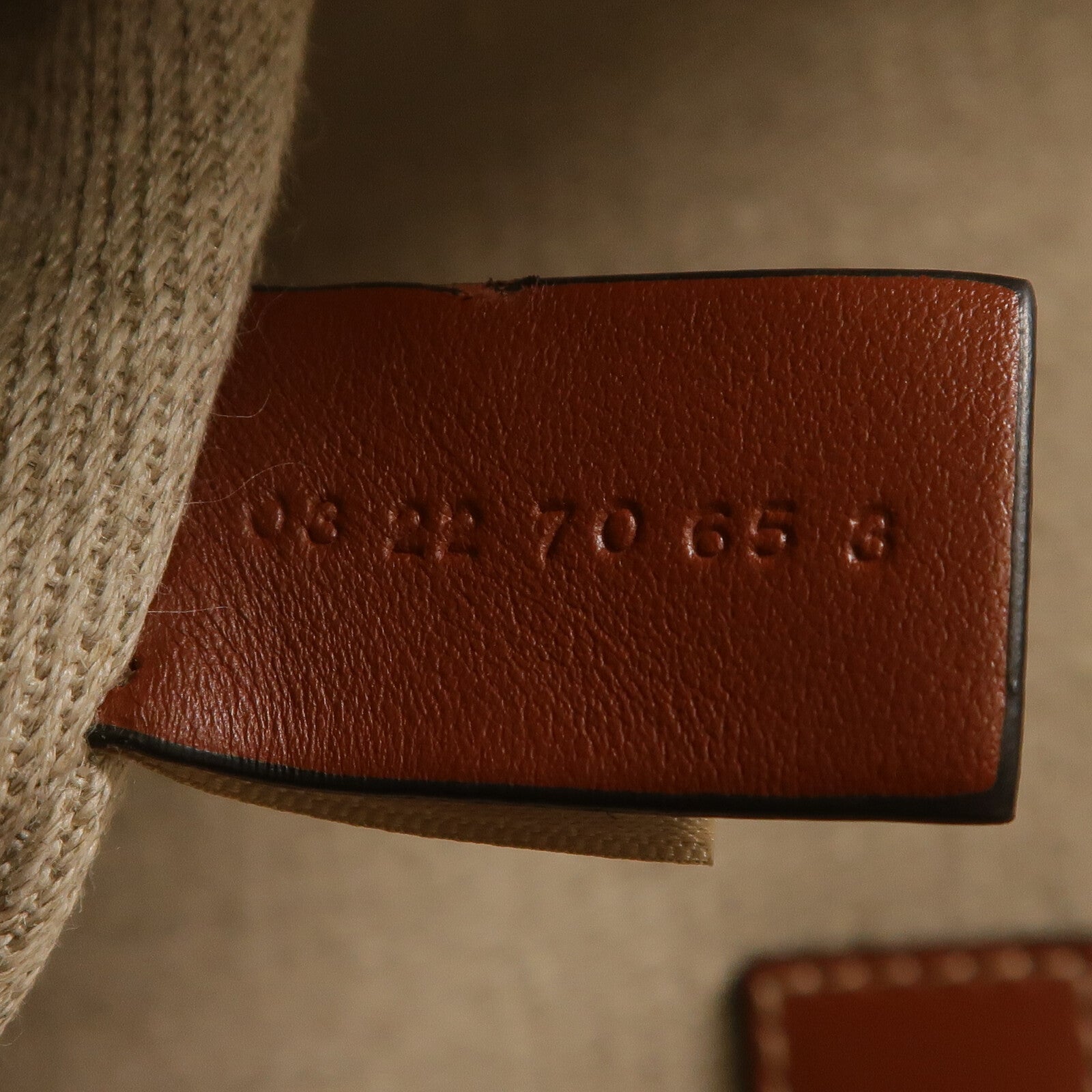 Chloe 帆布Woody Tote Medium手挽袋