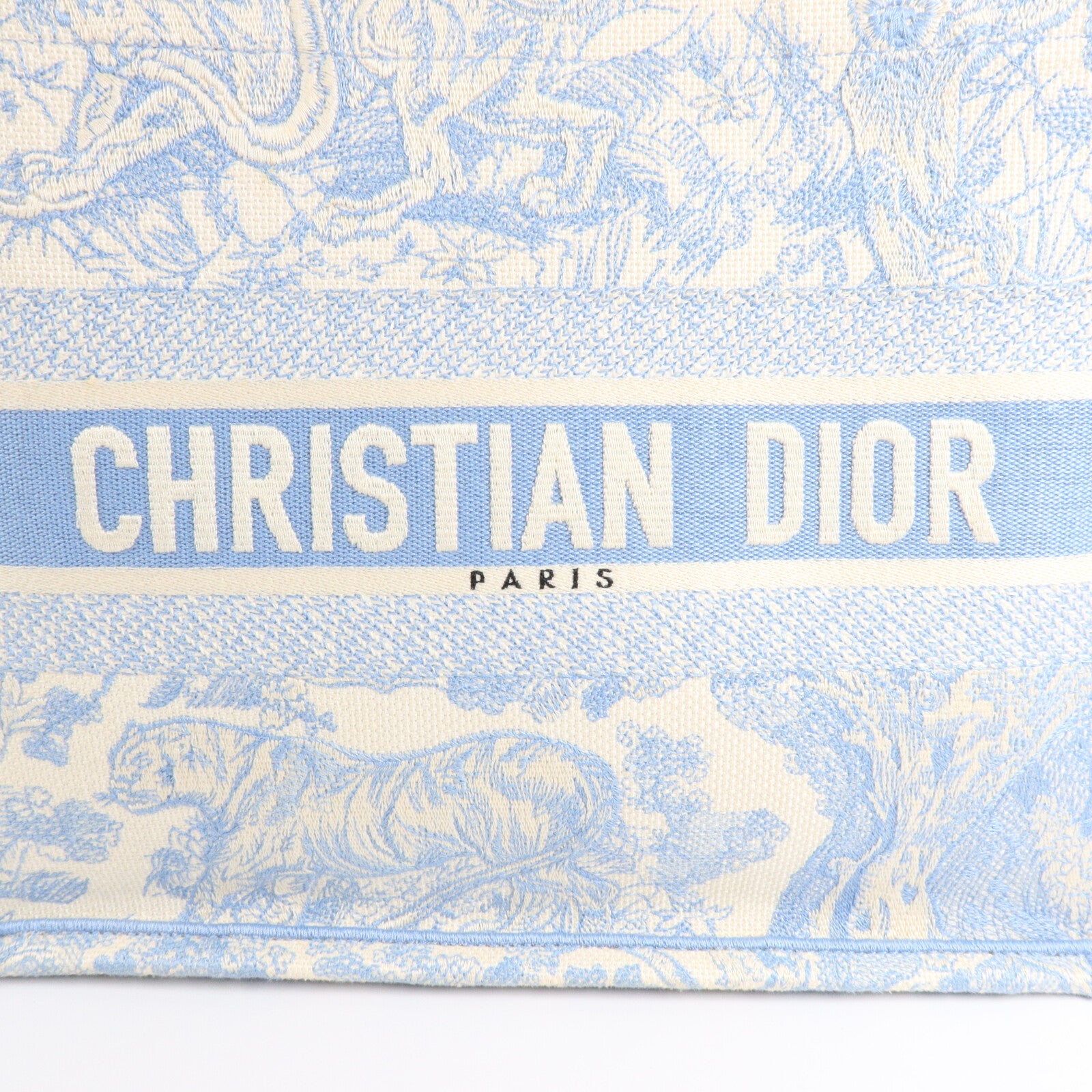 Dior 帆布Book Tote Medium手挽袋