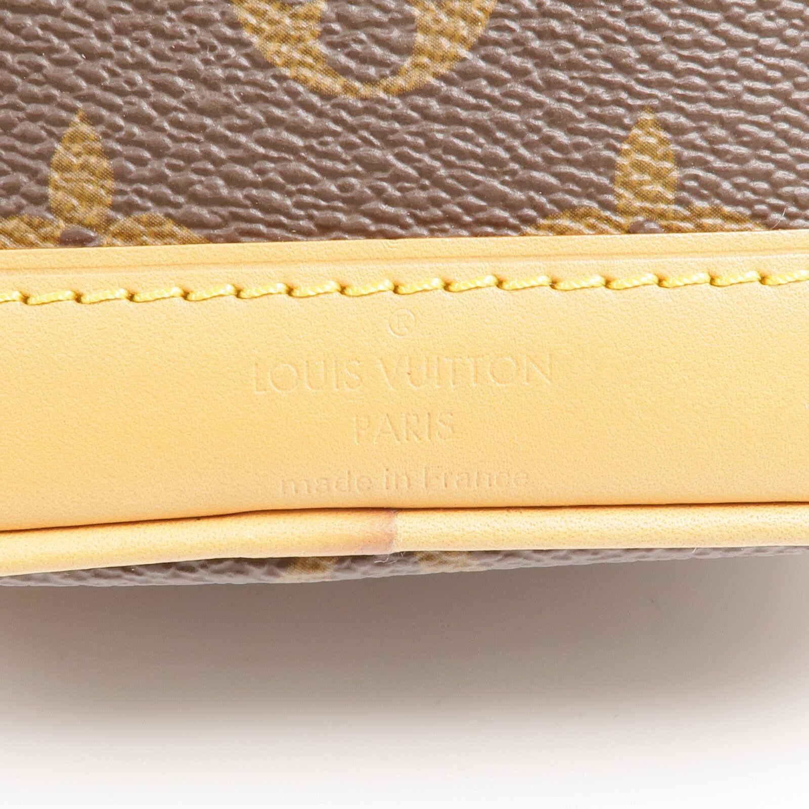 LOUIS VUITTON Monogram Nano Noe金扣手挽肩背兩用袋