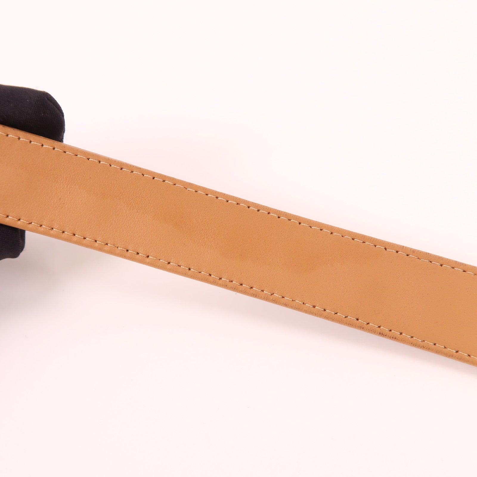 CHANEL 羊皮皮革C19 WOC Wallet on Chain手挽肩背兩用袋