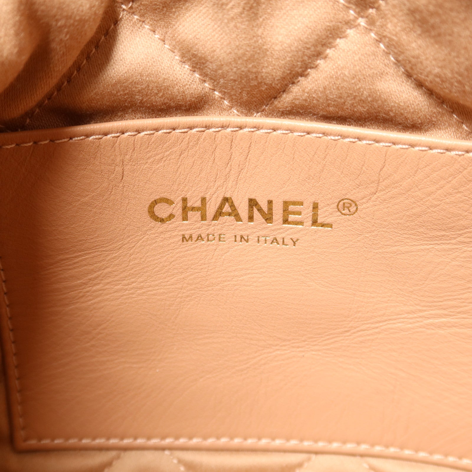 CHANEL 牛皮皮革Chanel 22 Mini手挽肩背兩用袋