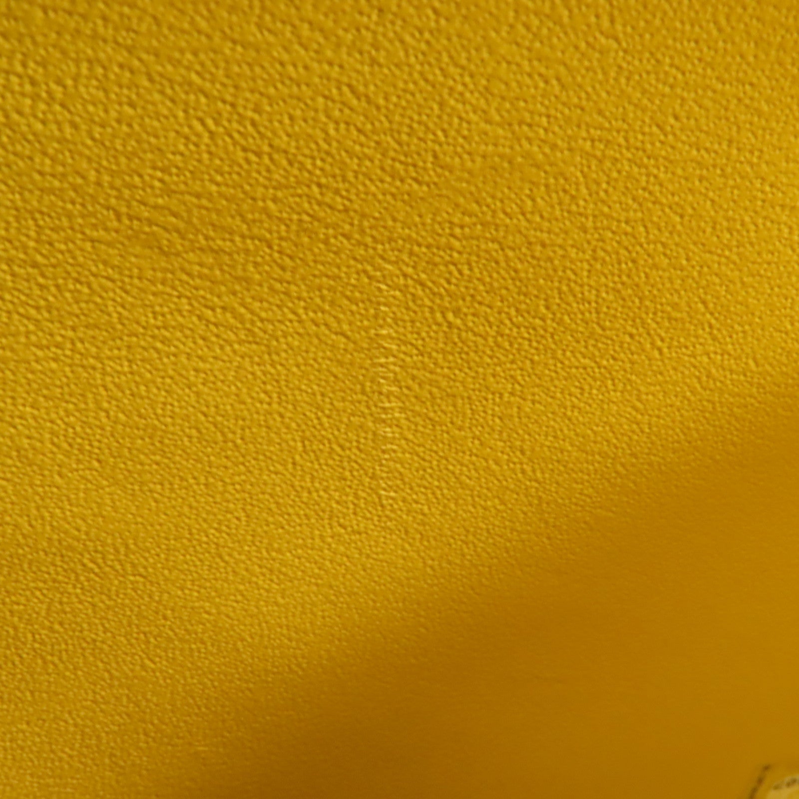 CHANEL 牛皮皮革Vanity Case金扣手挽肩背兩用袋