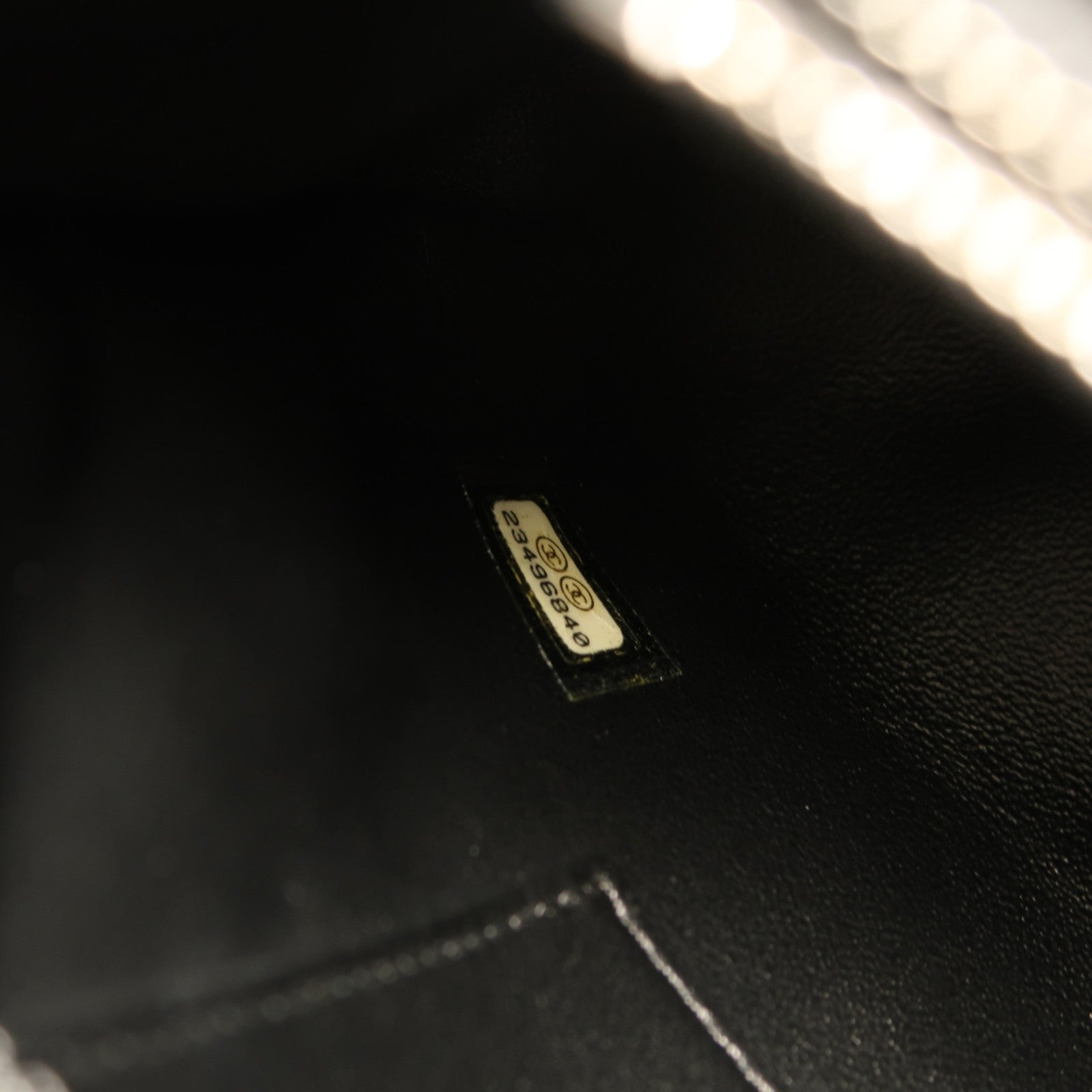 CHANEL 蜥蝪皮革/牛皮皮革Coco Handle手挽肩背兩用袋