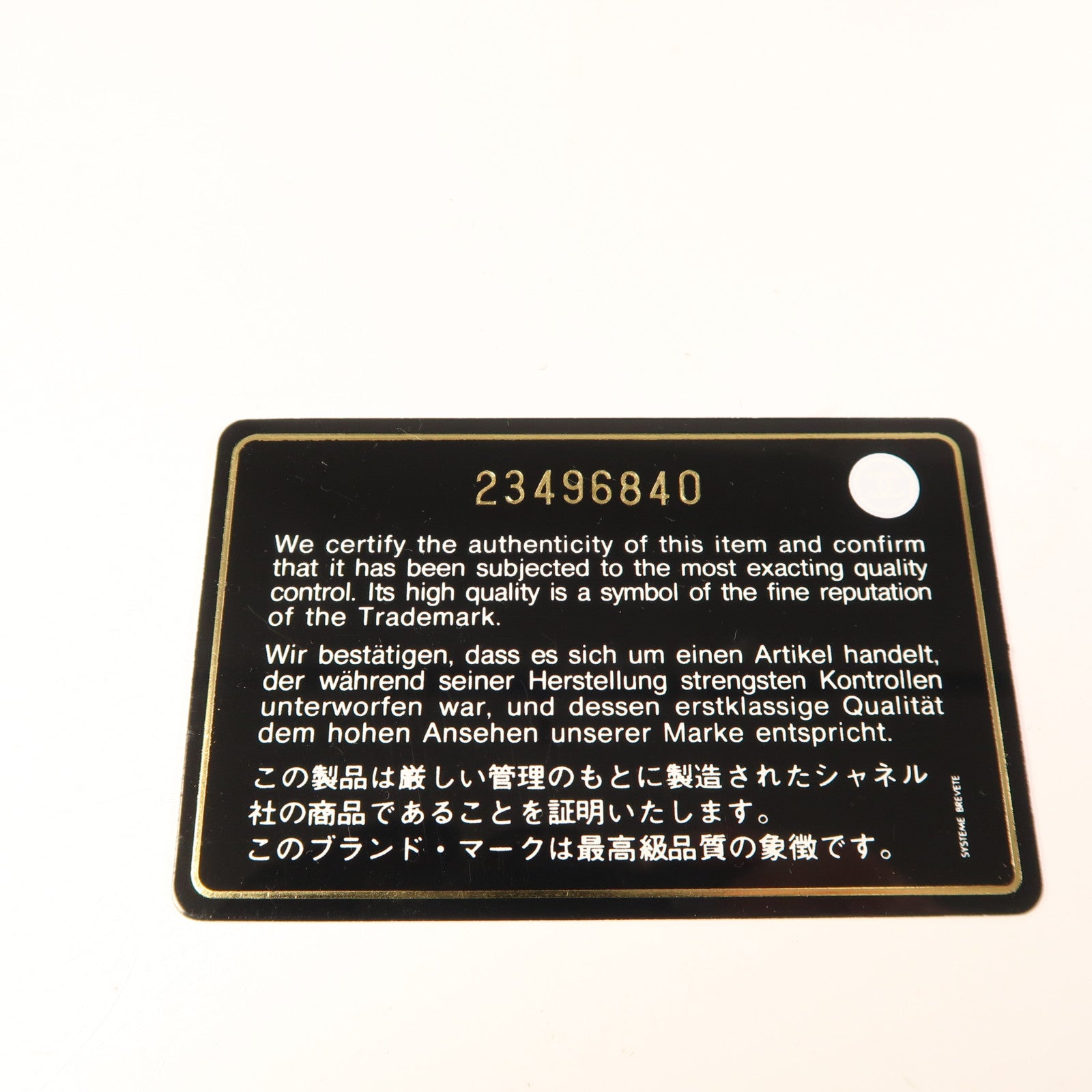 CHANEL 蜥蝪皮革/牛皮皮革Coco Handle手挽肩背兩用袋