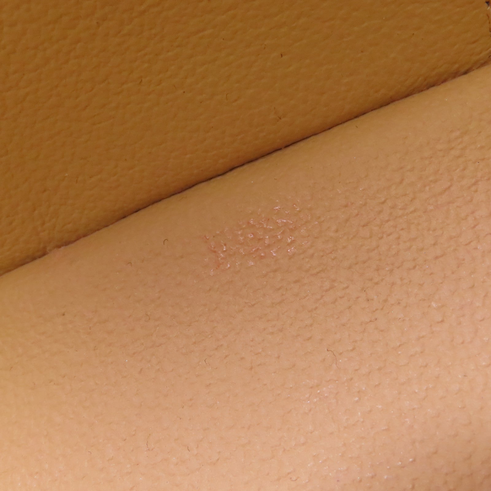 LOUIS VUITTON Monogram Nice Nano金扣化妝袋