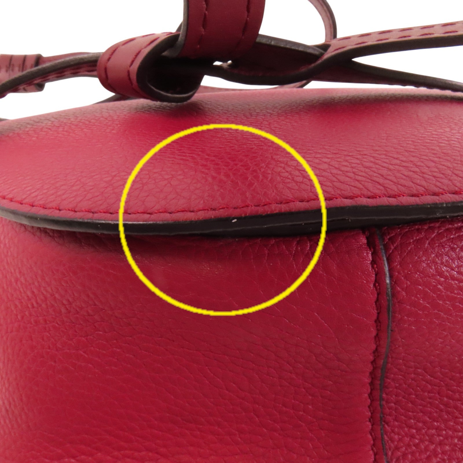 LOEWE 牛皮皮革Gate Small金扣肩背袋