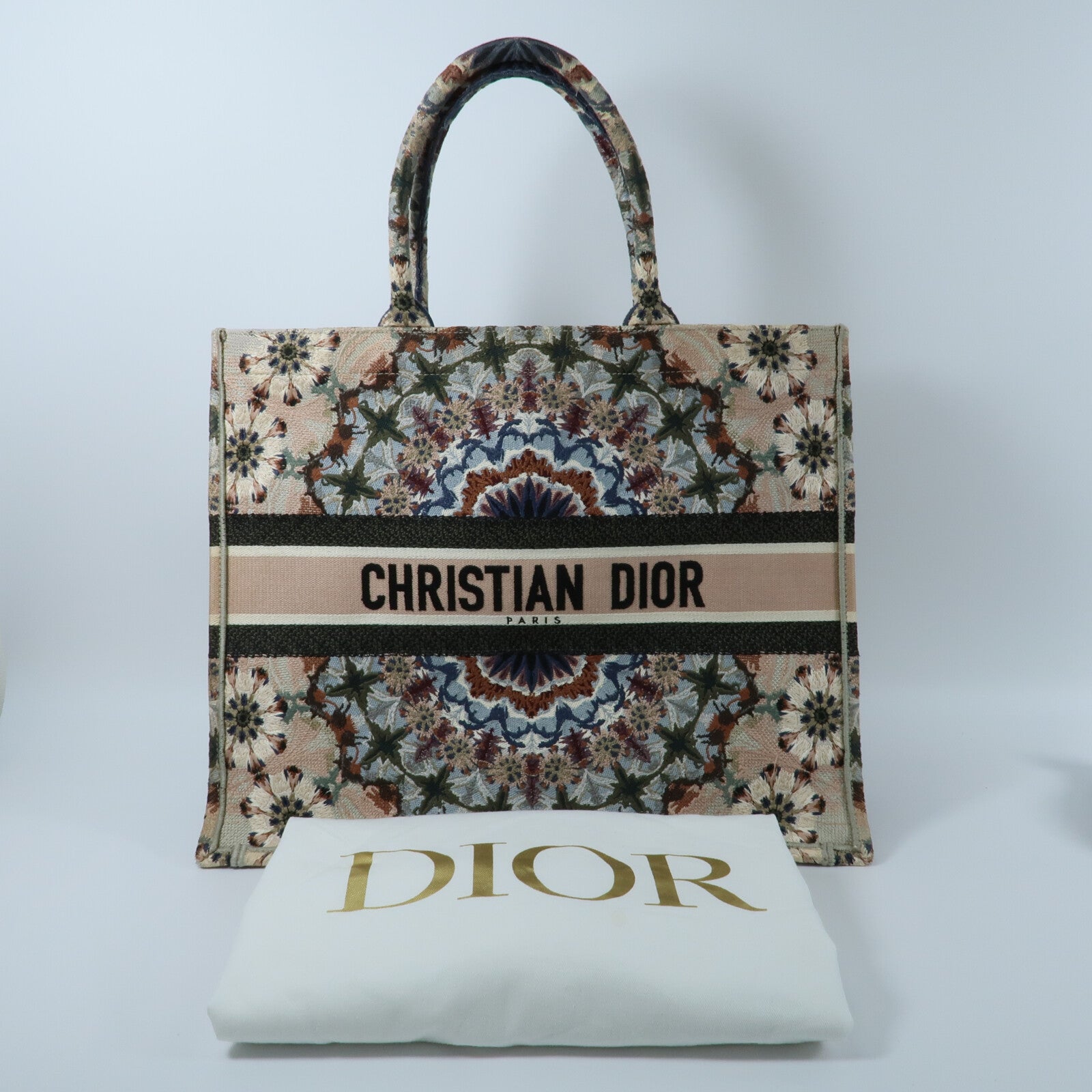 Dior 帆布Book Tote Bag手挽袋